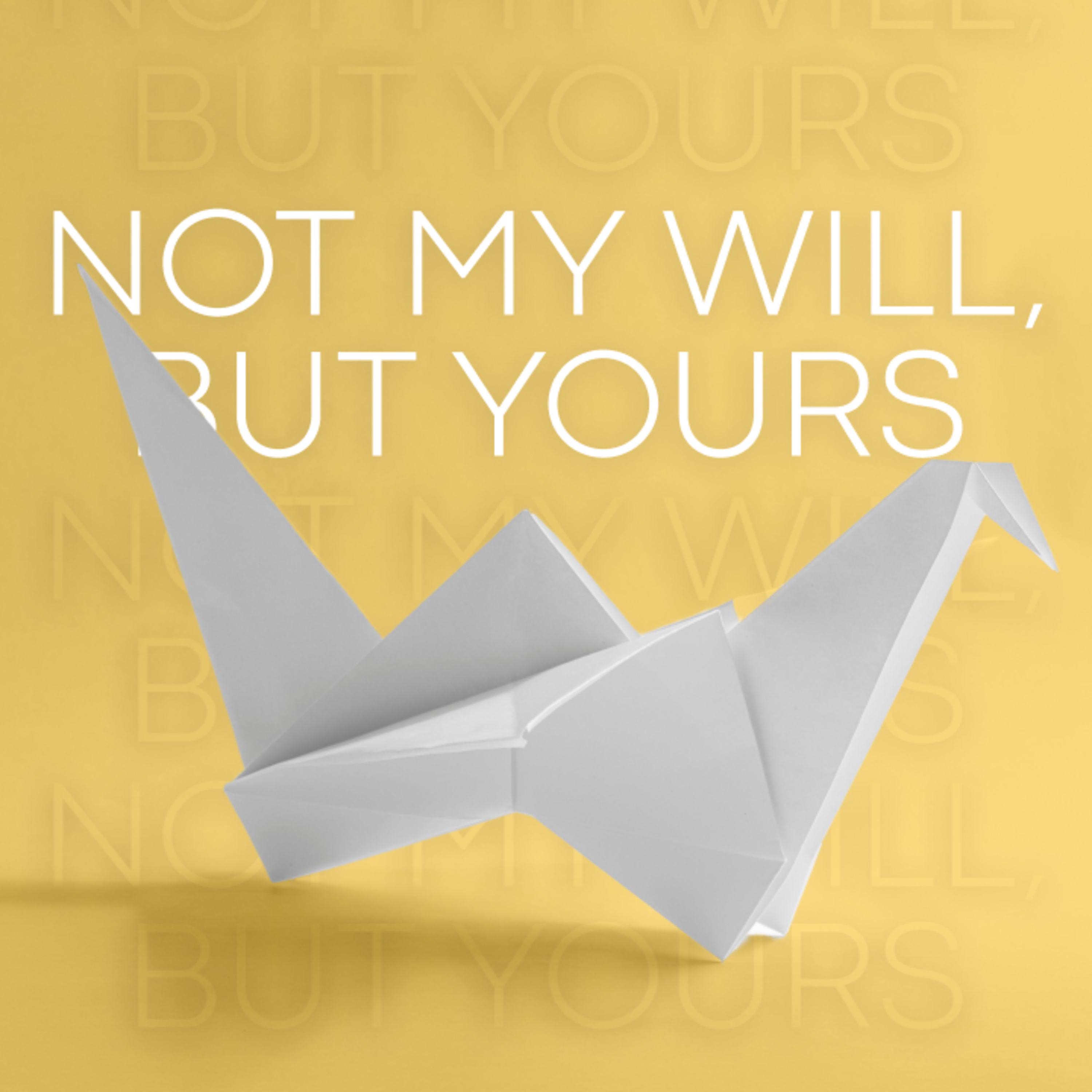 Not My Will, But Yours | Formation 2 episode artwork
