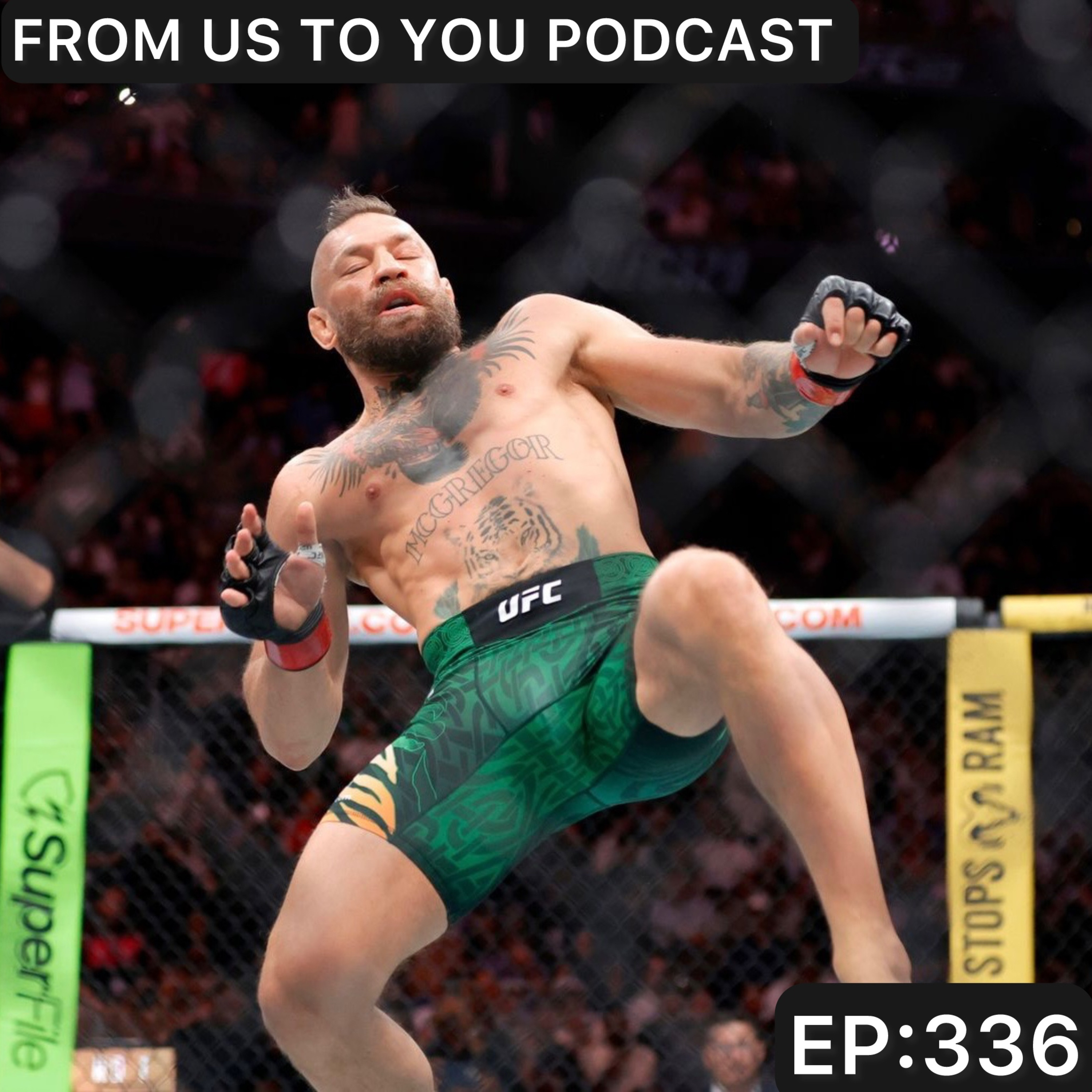 EP:336-MR. TIGGER episode artwork