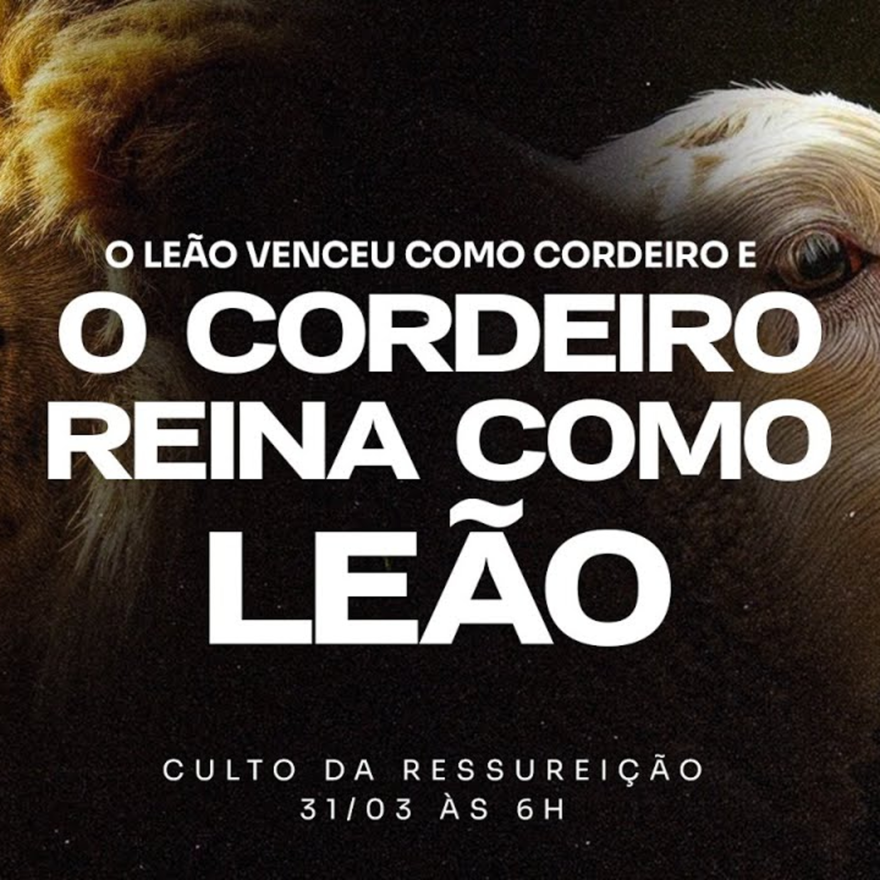 Exposição Bíblica-Culto da Ressureição | 31/03/2024 | Pr. Luiz Ronilson episode artwork