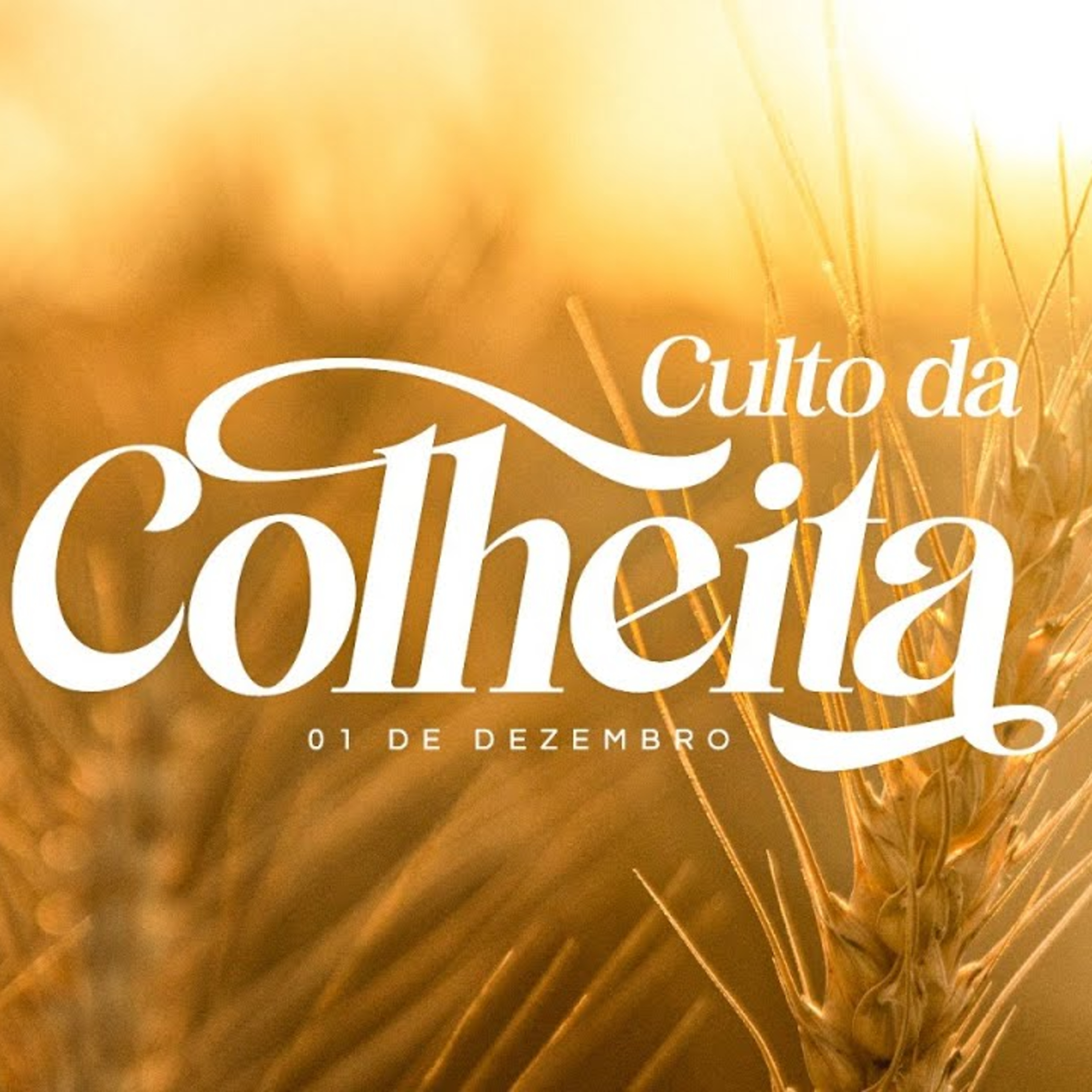 Exposição Bíblica | culto da colheita | 08/12/2024 | Pr. Luiz Ronilson episode artwork