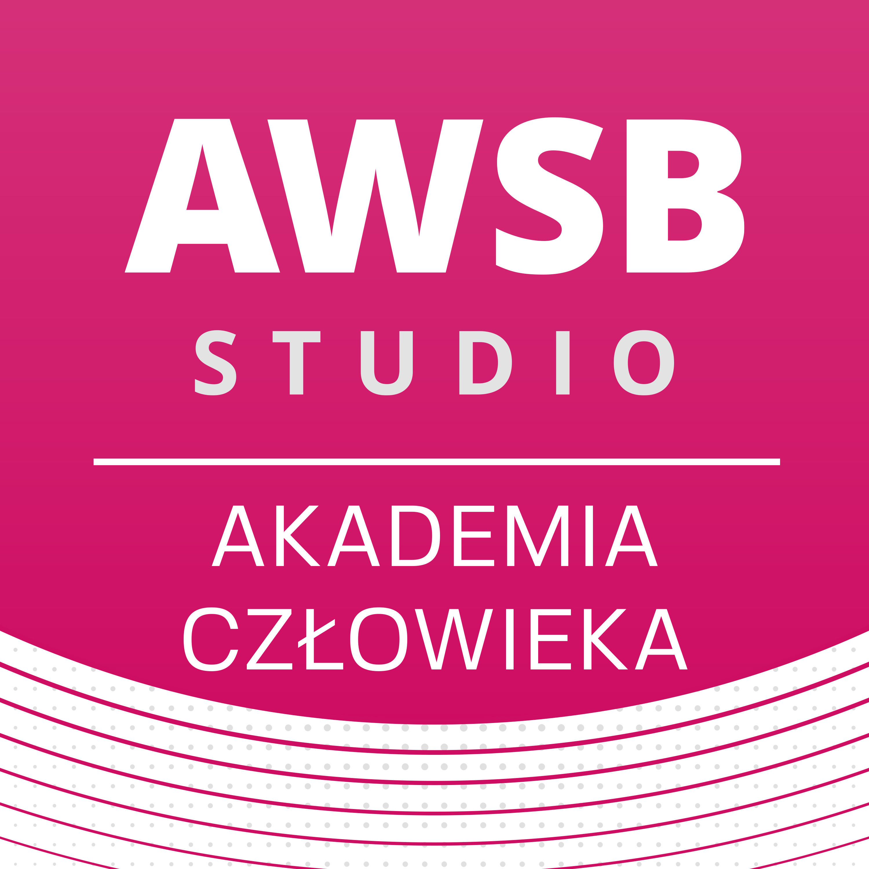 Akademia WSB w Dąbrowie Górniczej