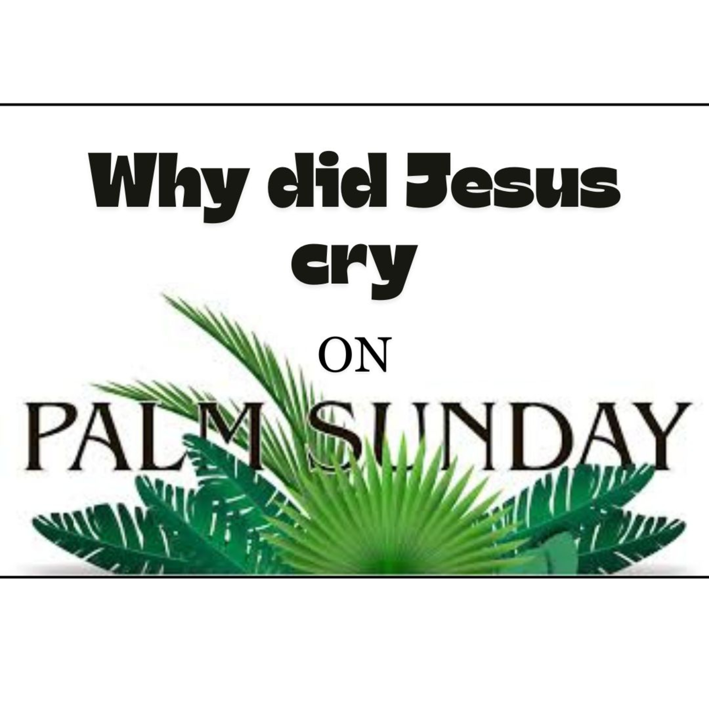 Why did Jesus cry on Palm Sunday? episode artwork