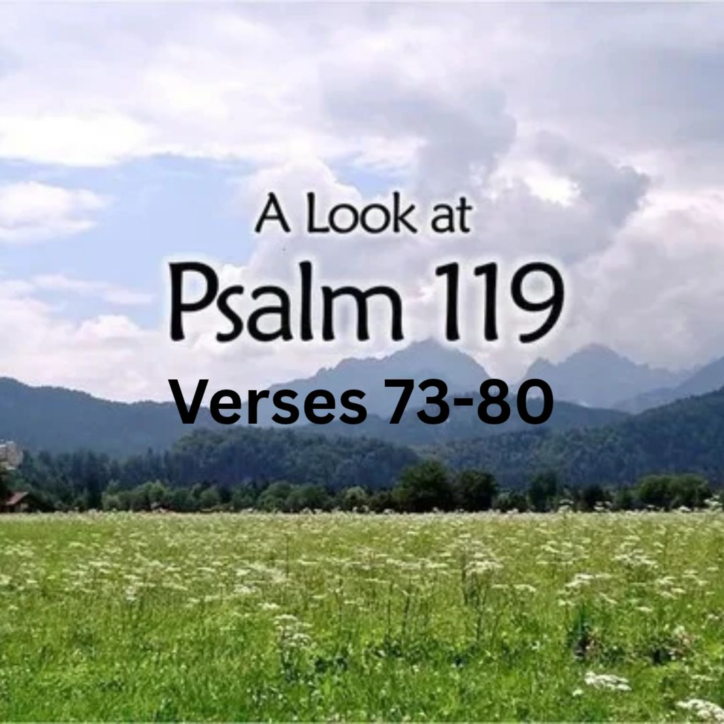 Psalm 119:73-80 episode artwork