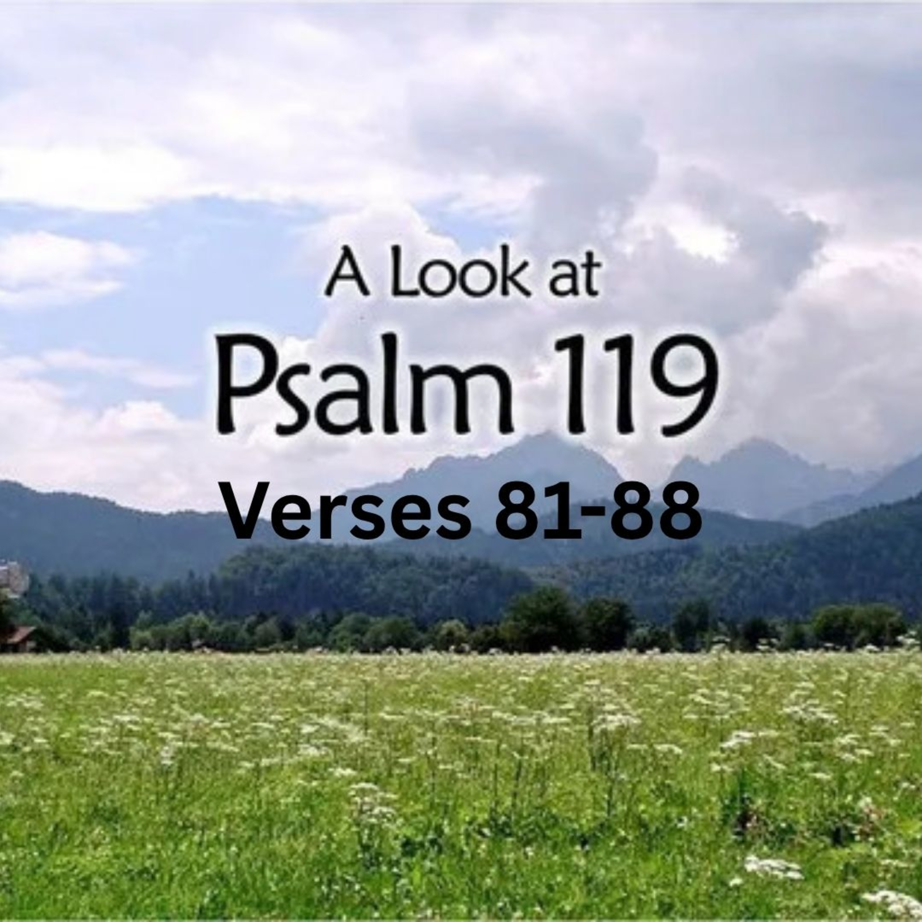 Psalm 119 verses 81 to 88 episode artwork