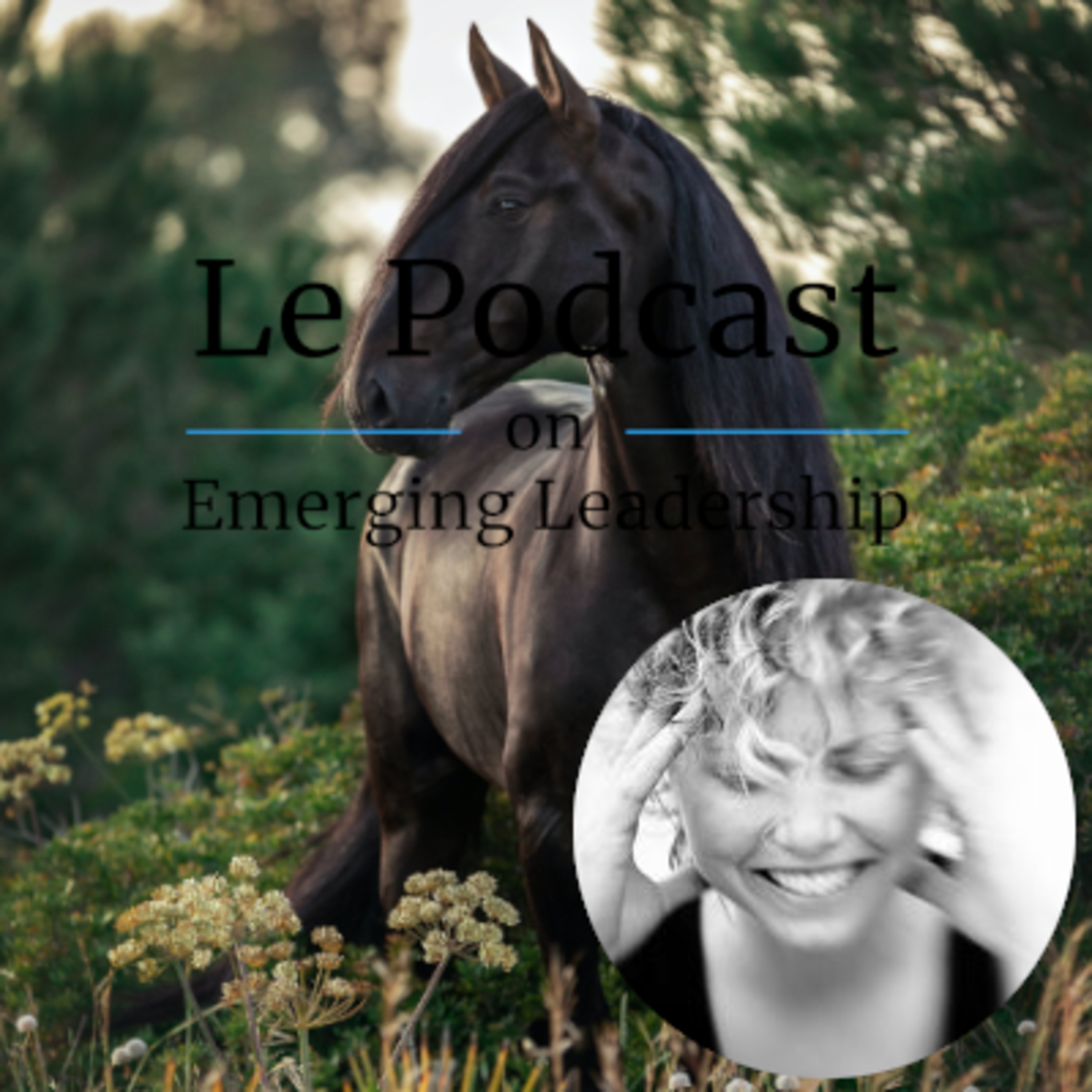 Le Podcast on Emerging Leadership