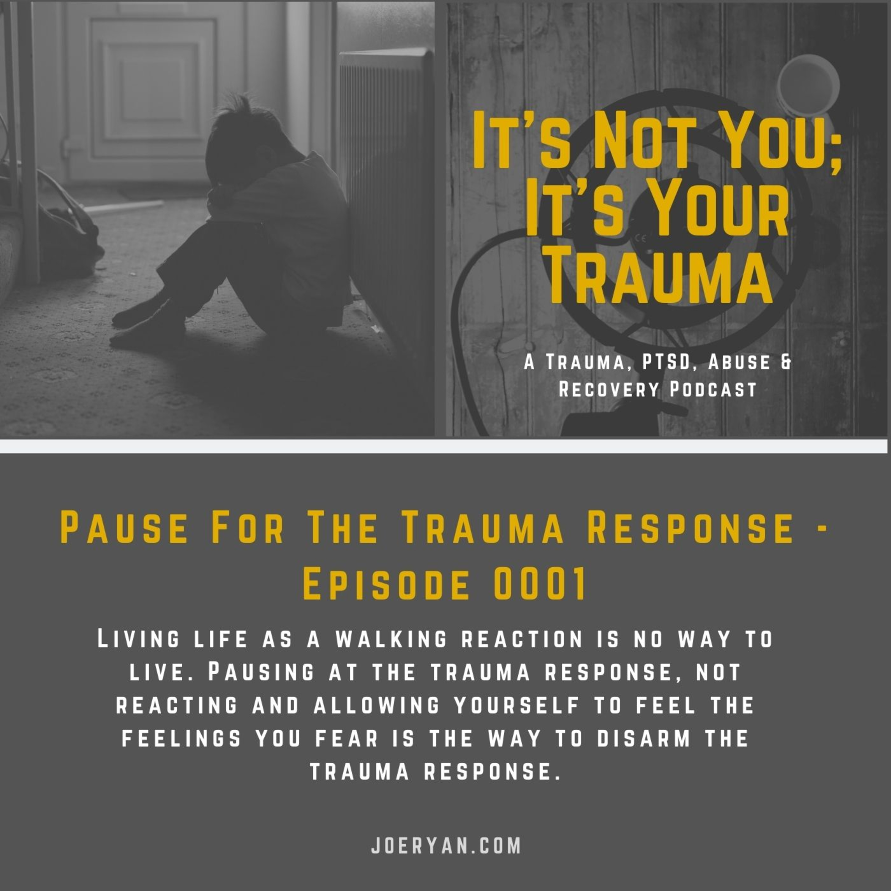 EP 0001 - Pause For The Trauma Response