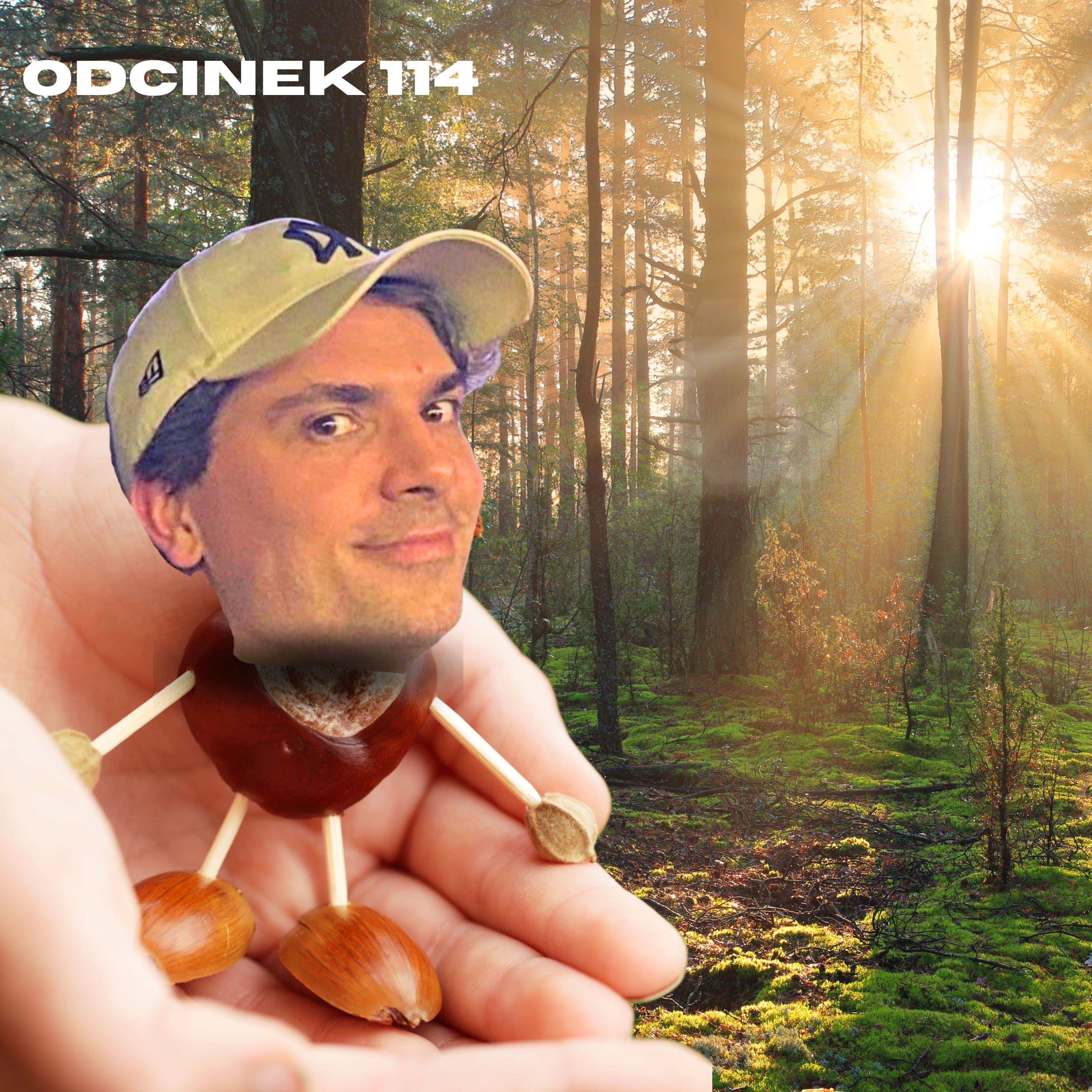 Samiec Beta