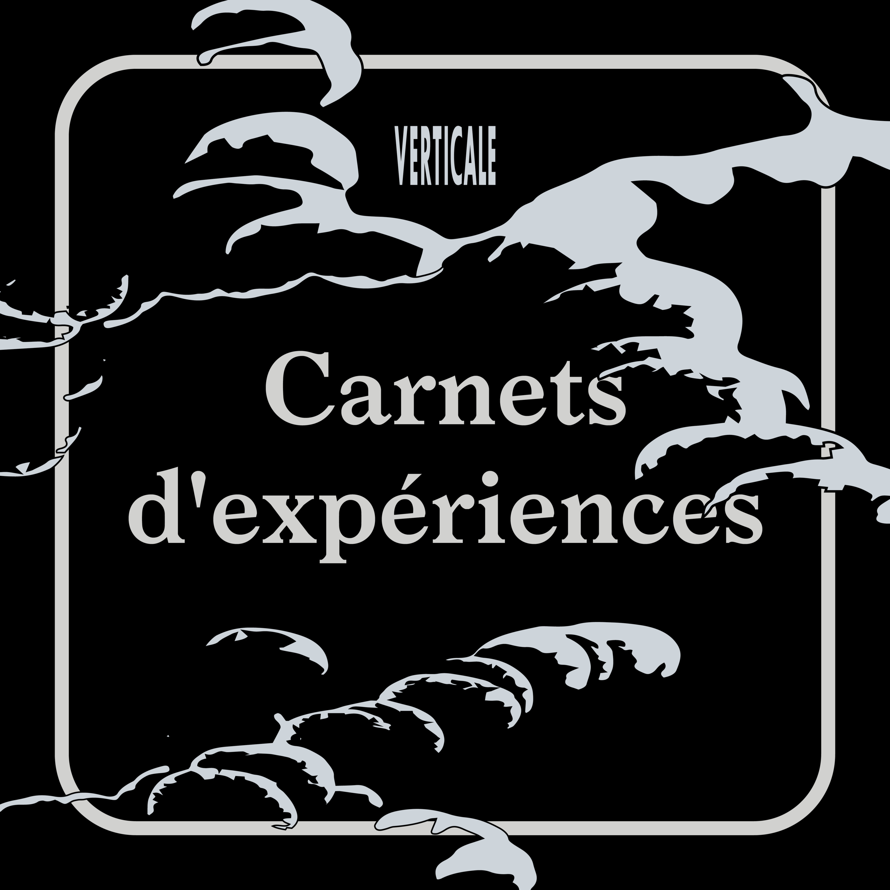 Carnets d\'expériences — Verticale