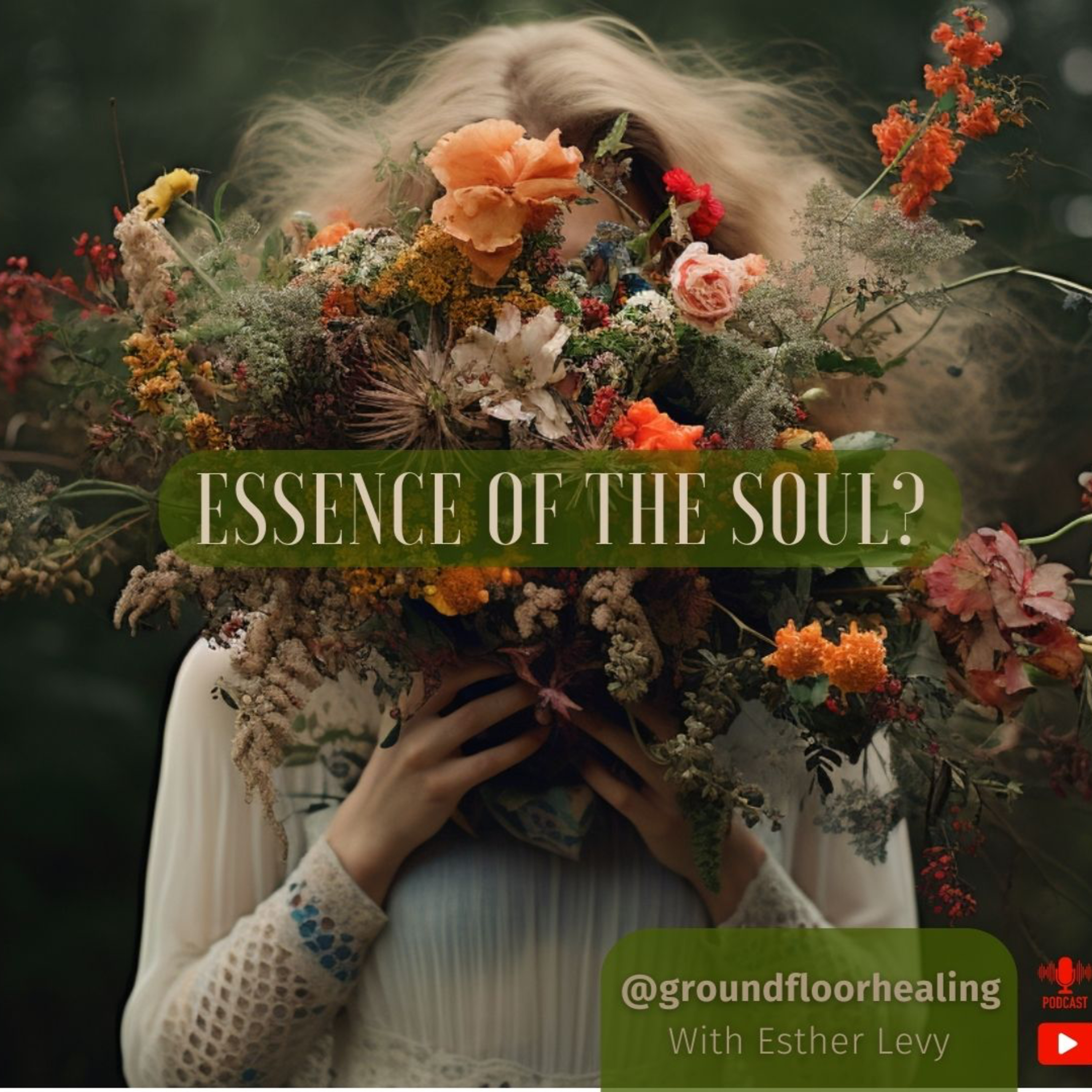 The essence of the SOUL