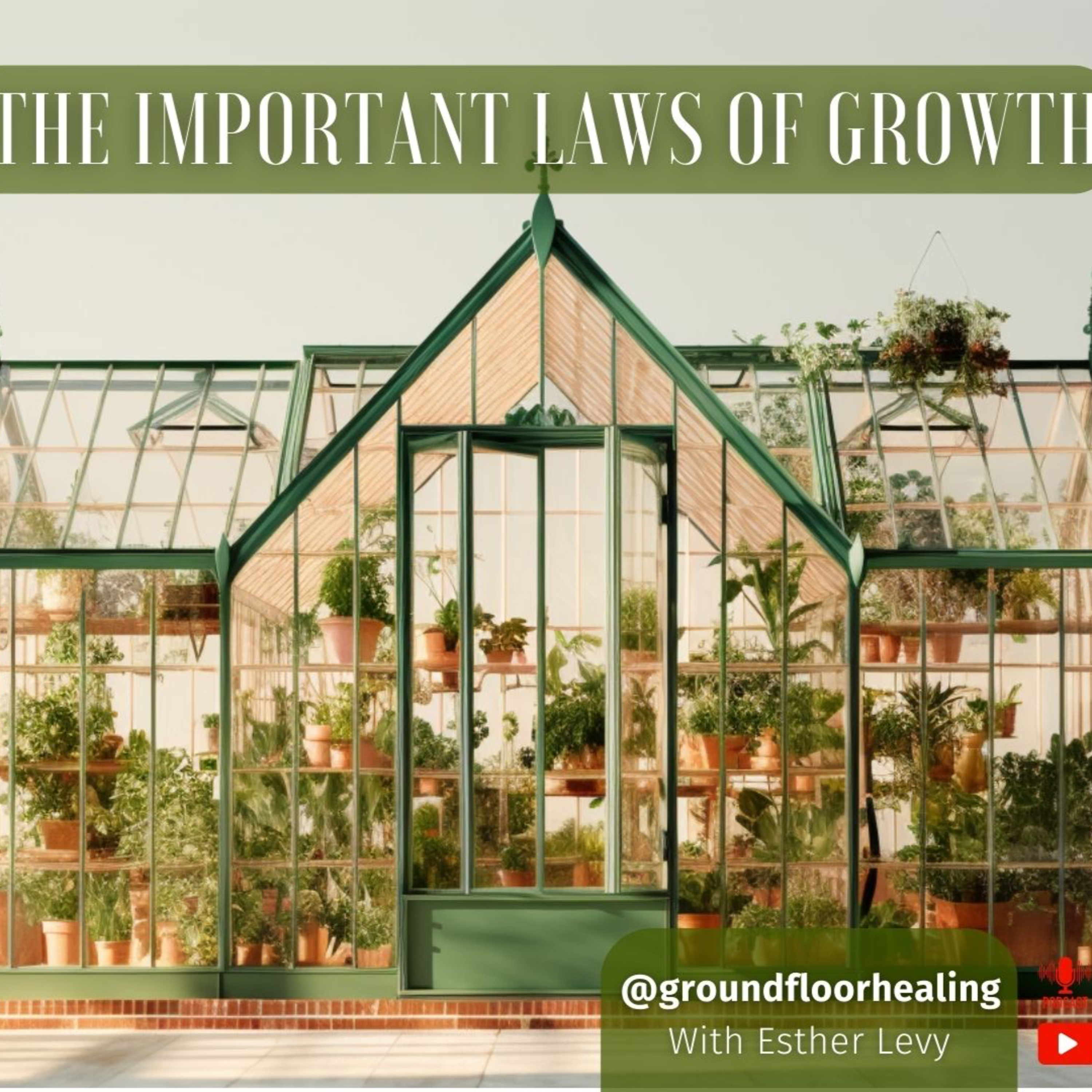 The Important Laws of Growth: Derech Eretz