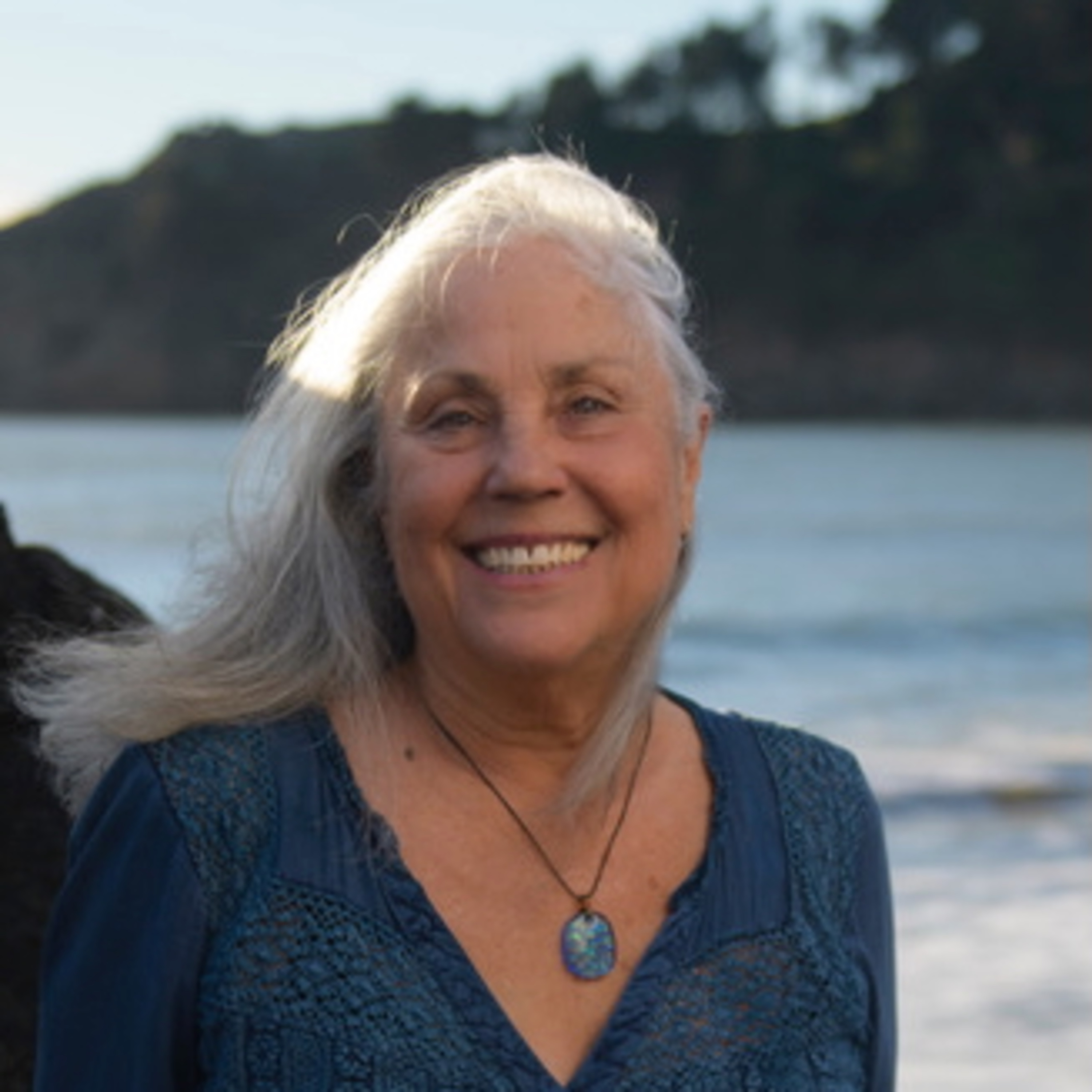 S7:E11 Karen Marker Talks Visionaries with Julia Chiapella episode artwork