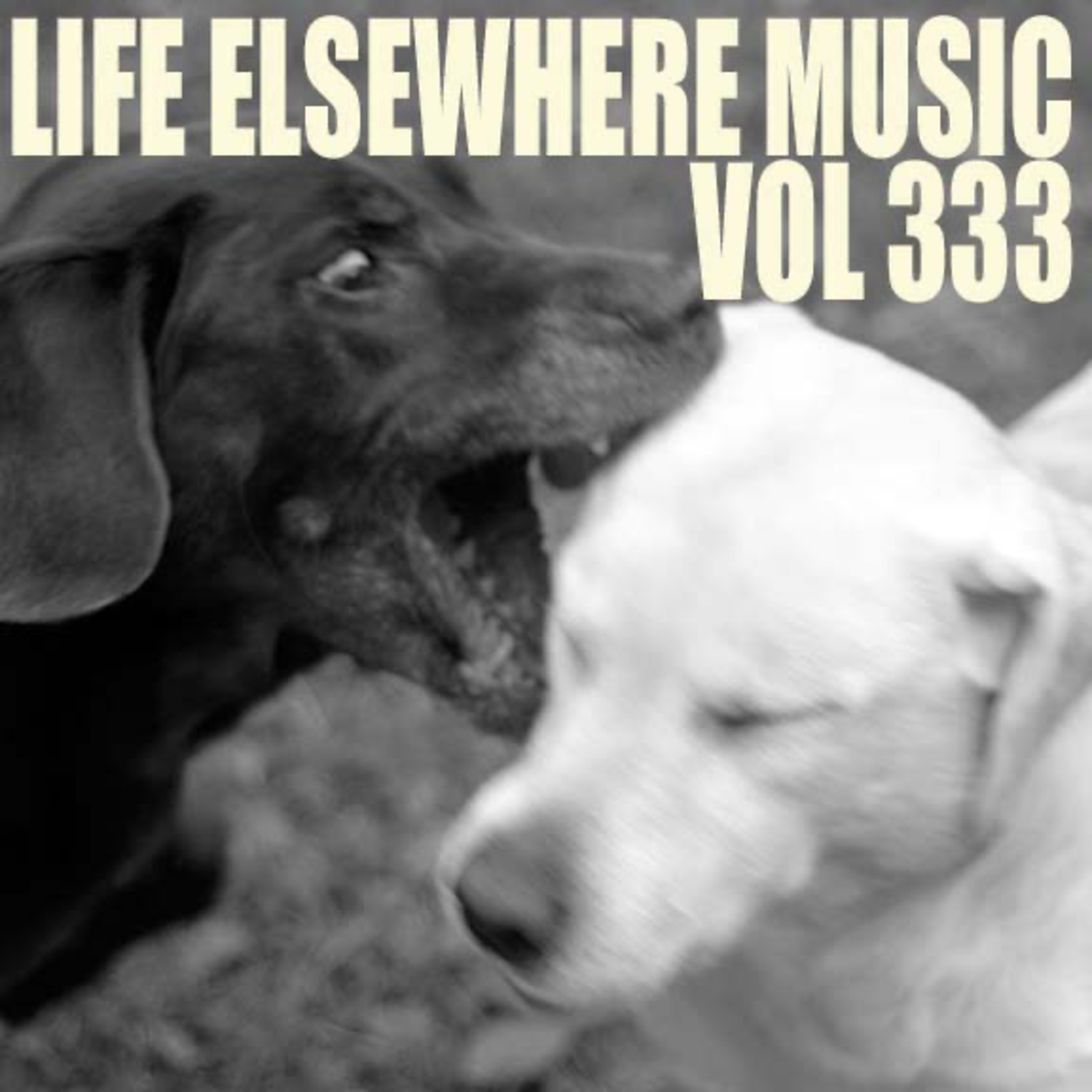 Life Elsewhere