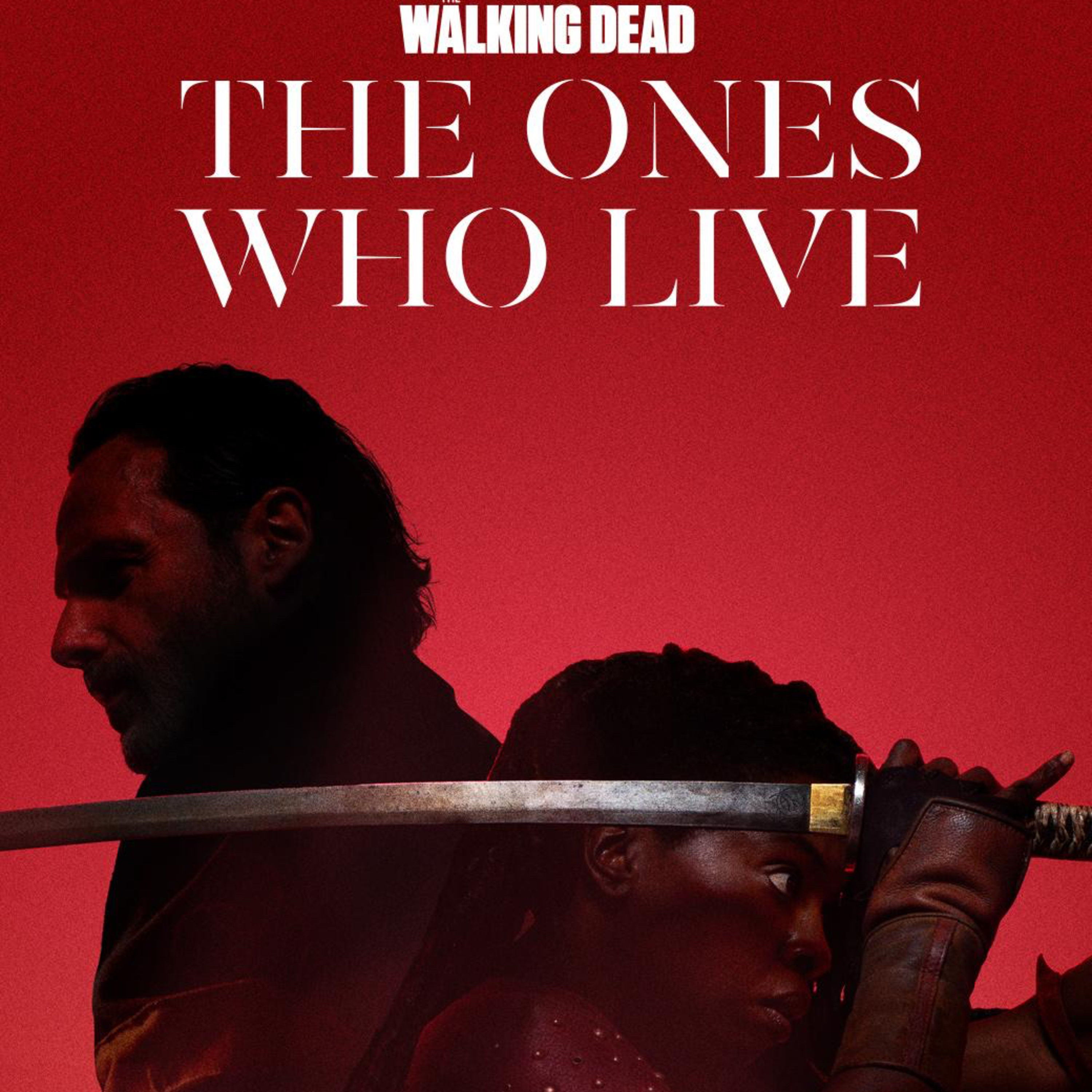 Episode 17 - Walking Dead - The Ones who live Teil 1 episode artwork