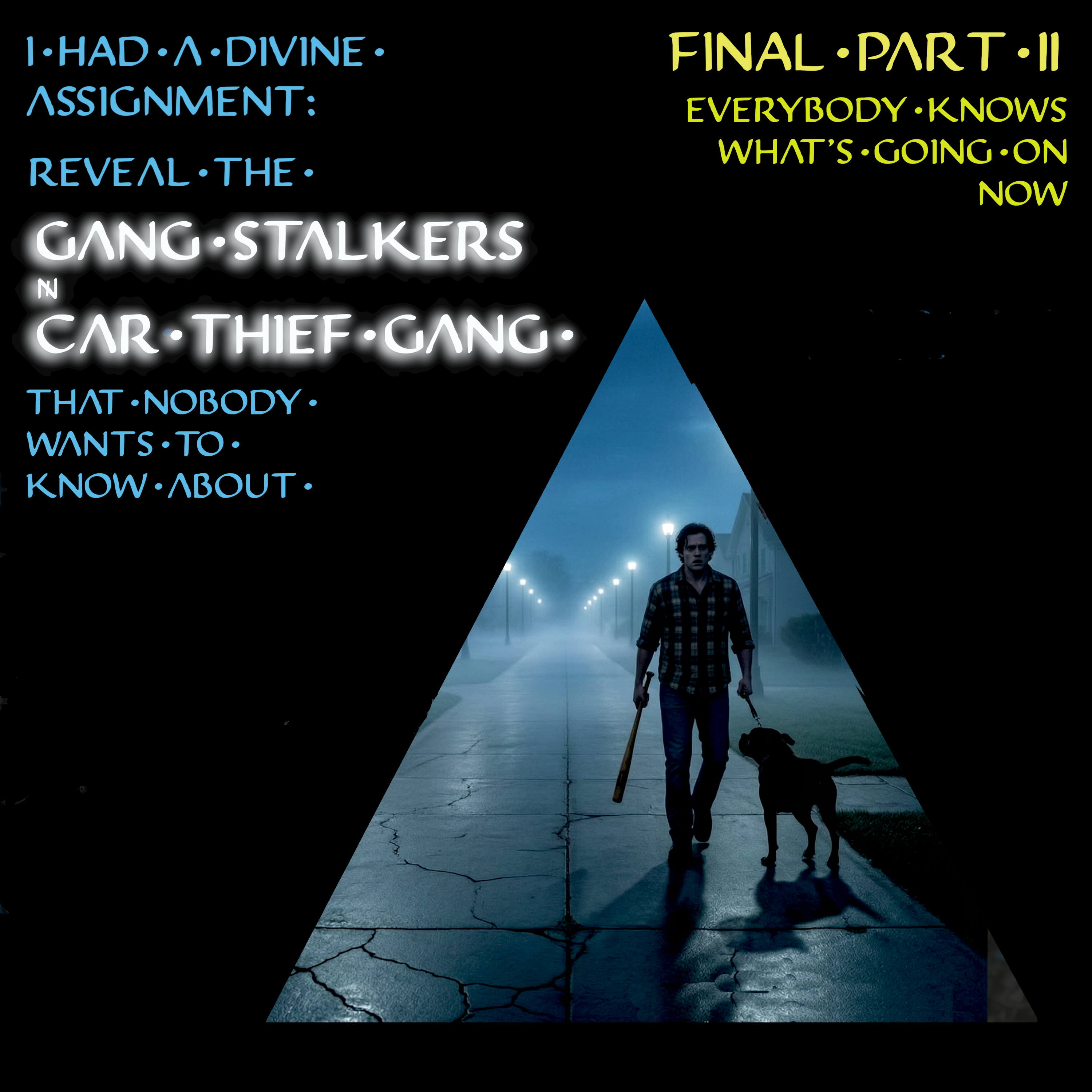 Divine Assignment: Reveal The Gang Stalkers & Car Thief Gang Final Part 2 episode artwork