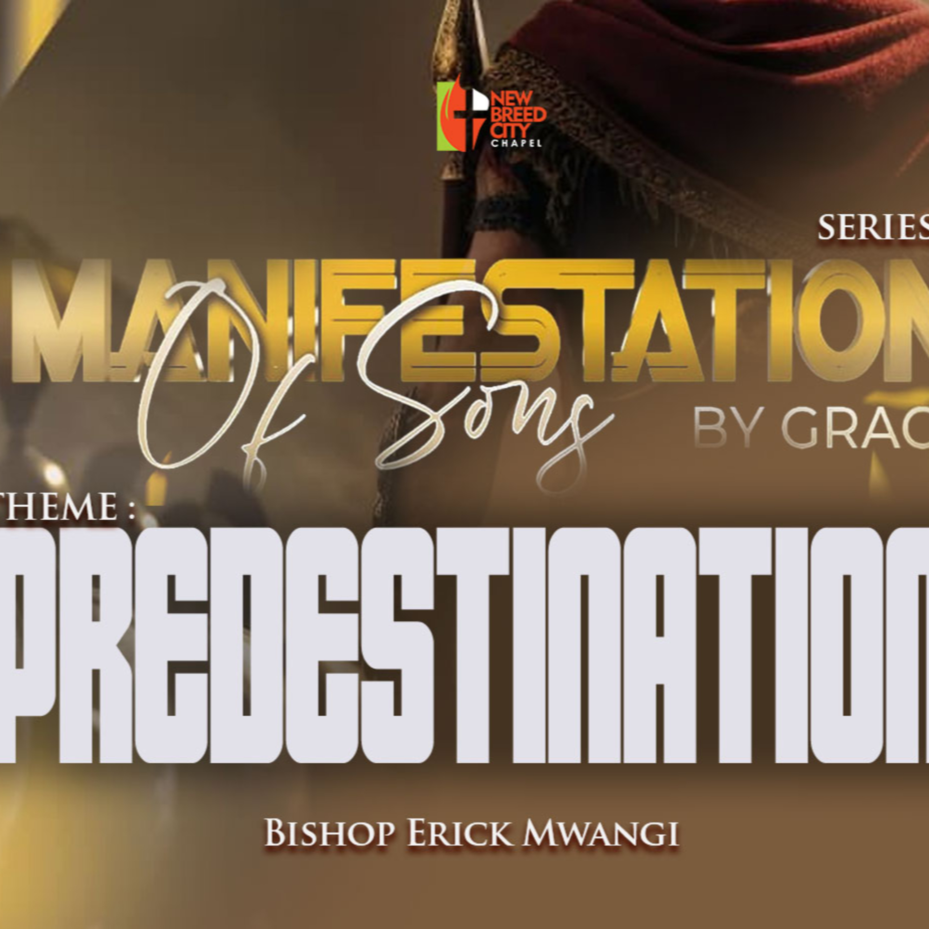 Predestination episode artwork