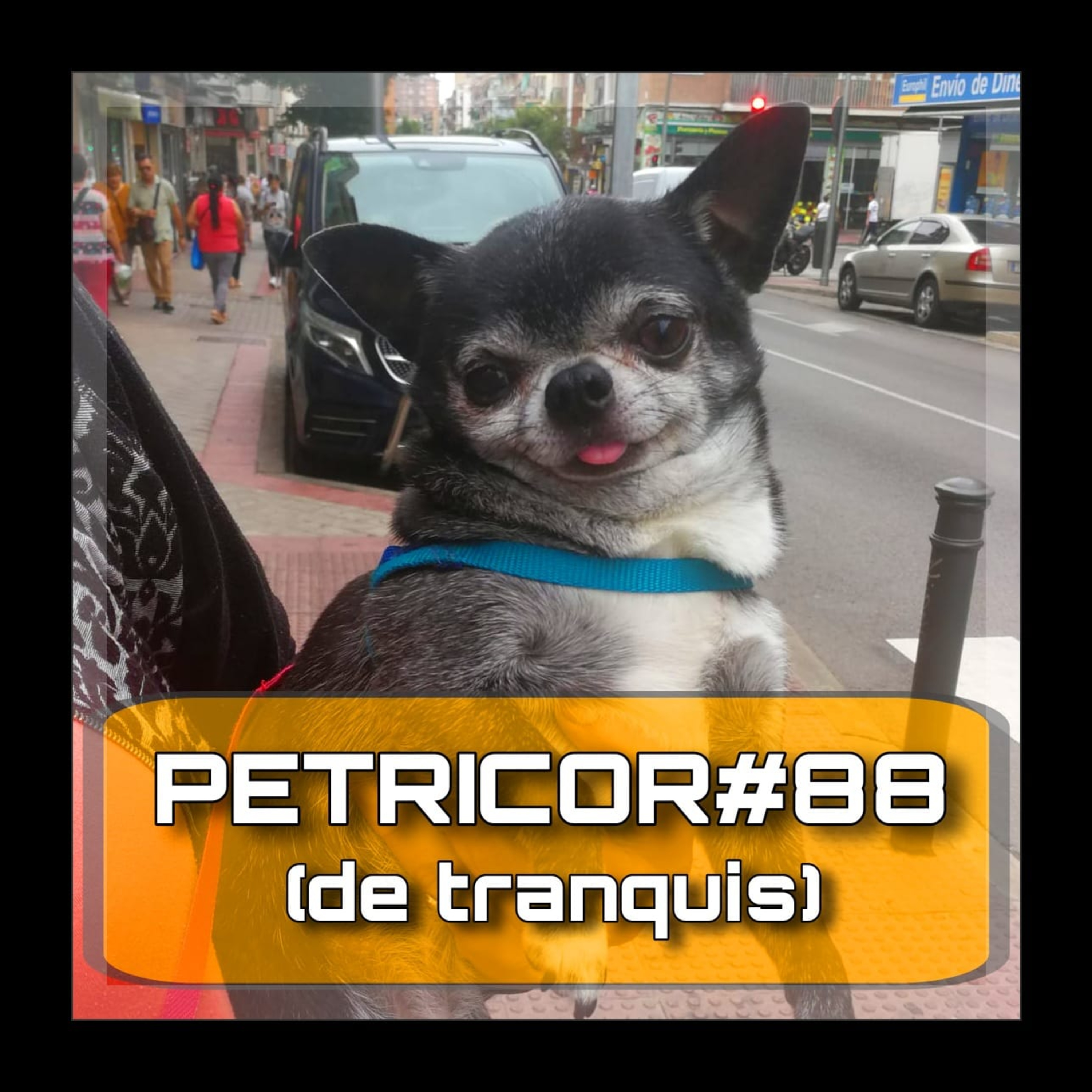 Petricor