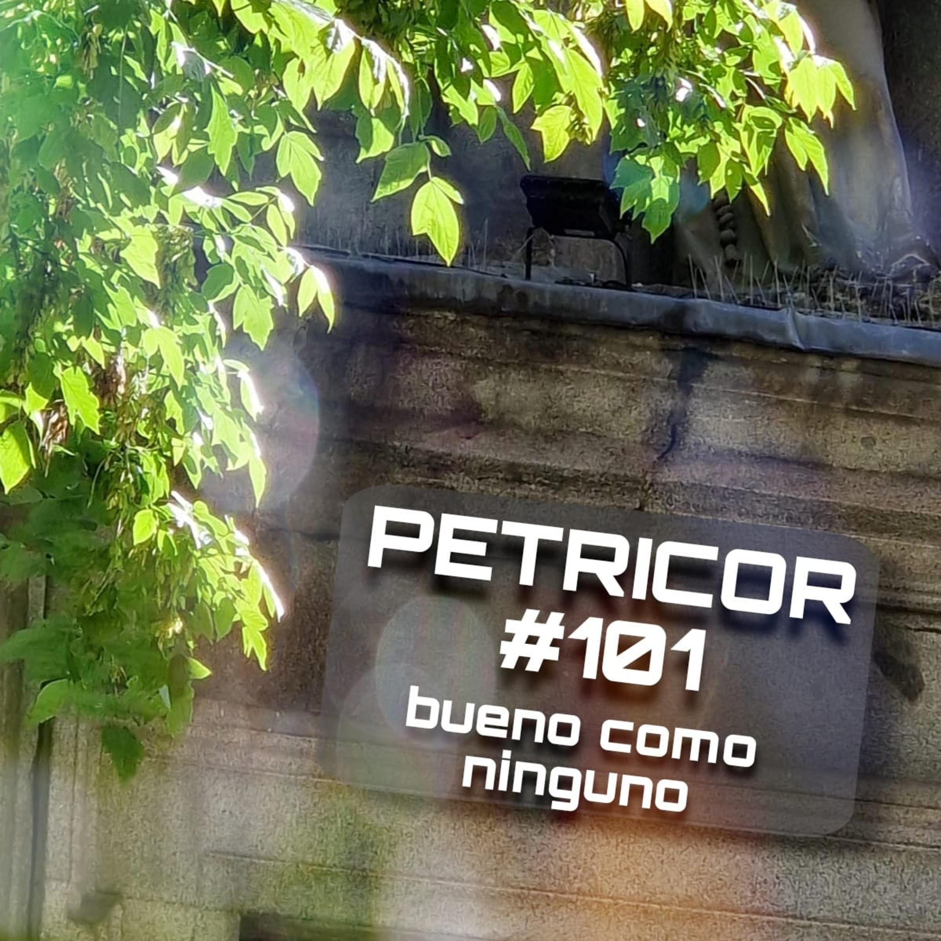 Petricor