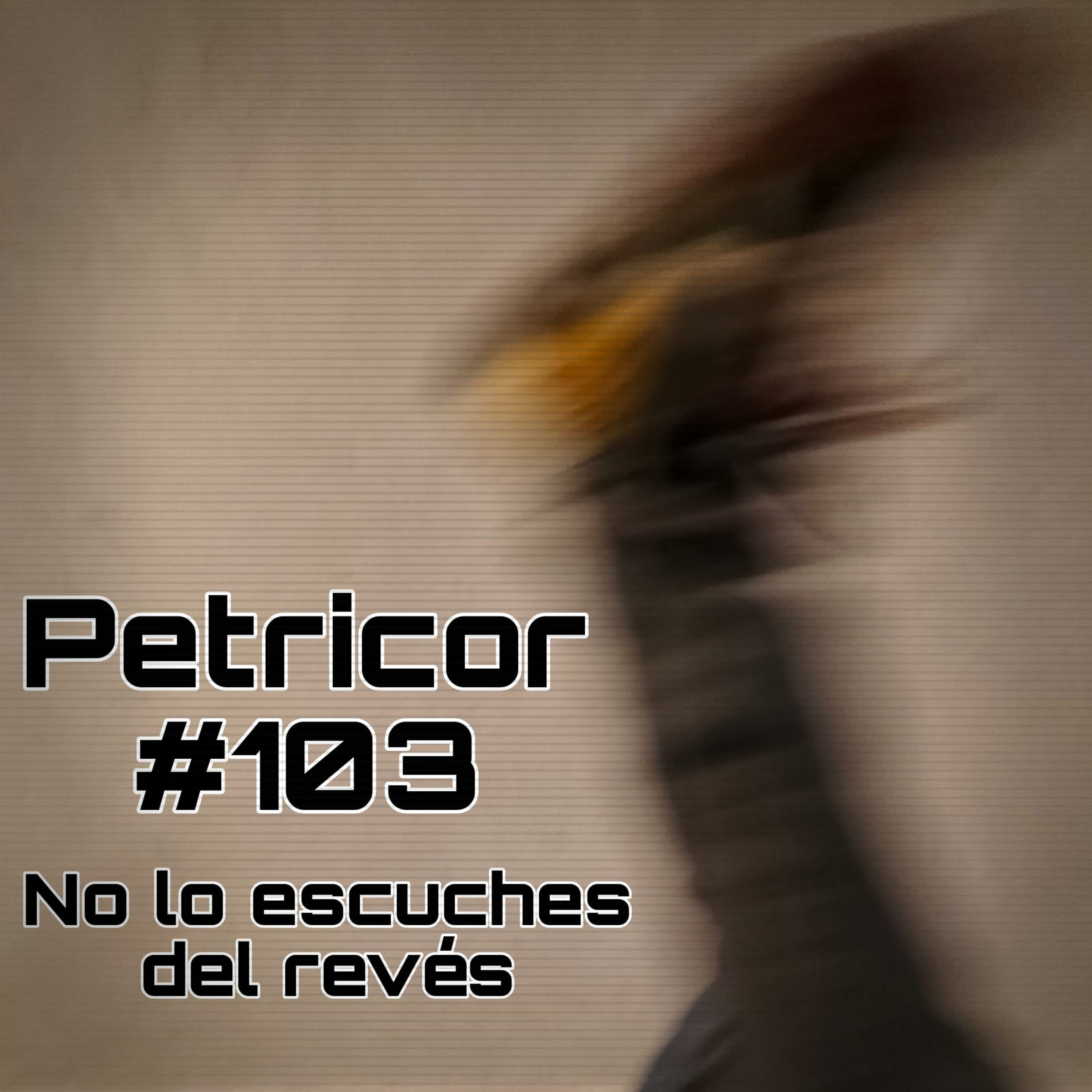 Petricor