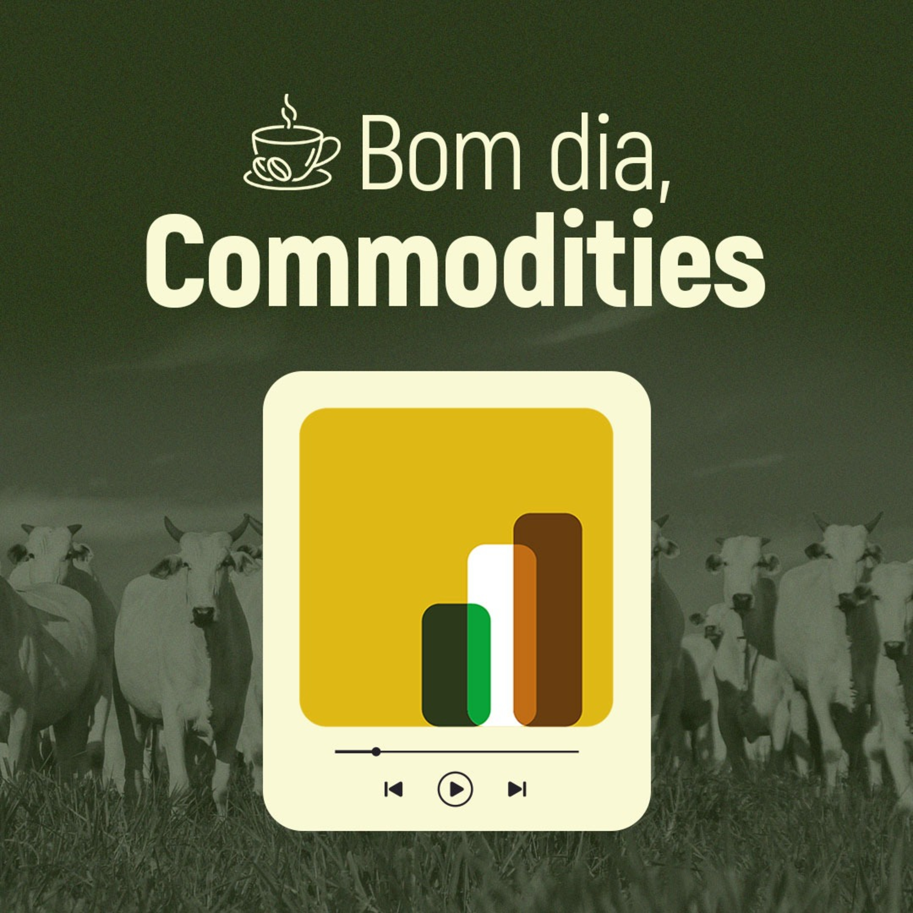 #048 - Bom dia, Commodities