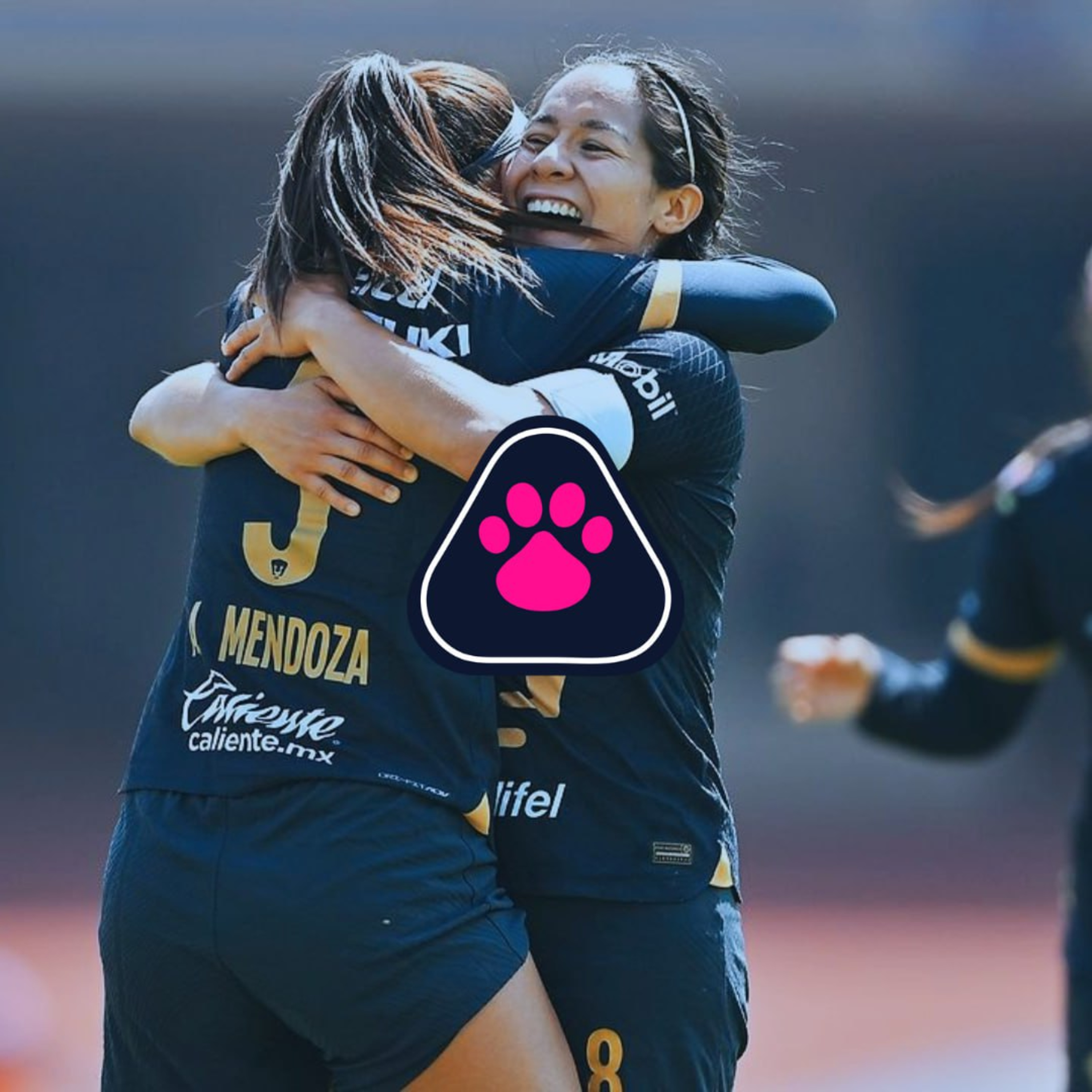 Cantera en Rosa