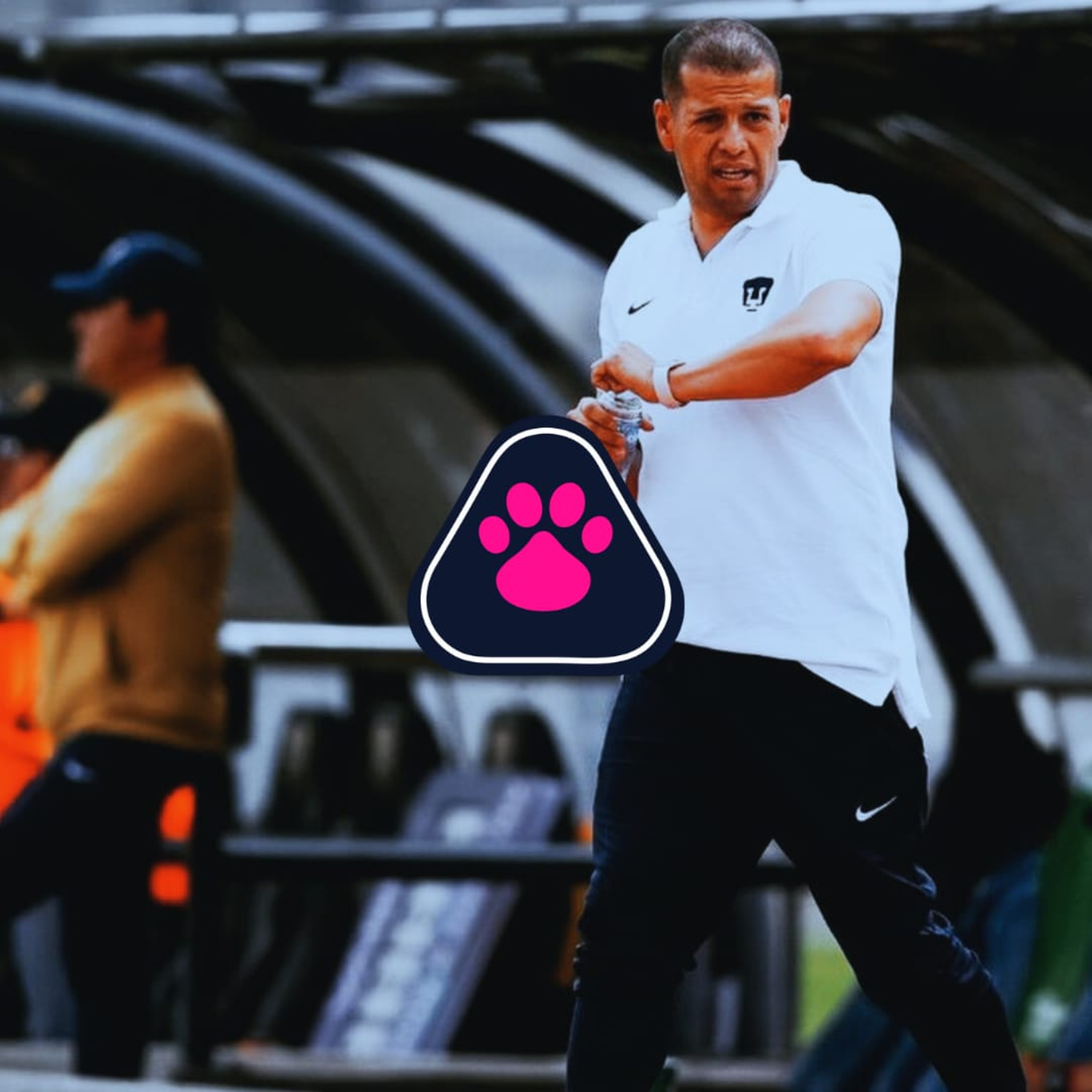 Cantera en Rosa