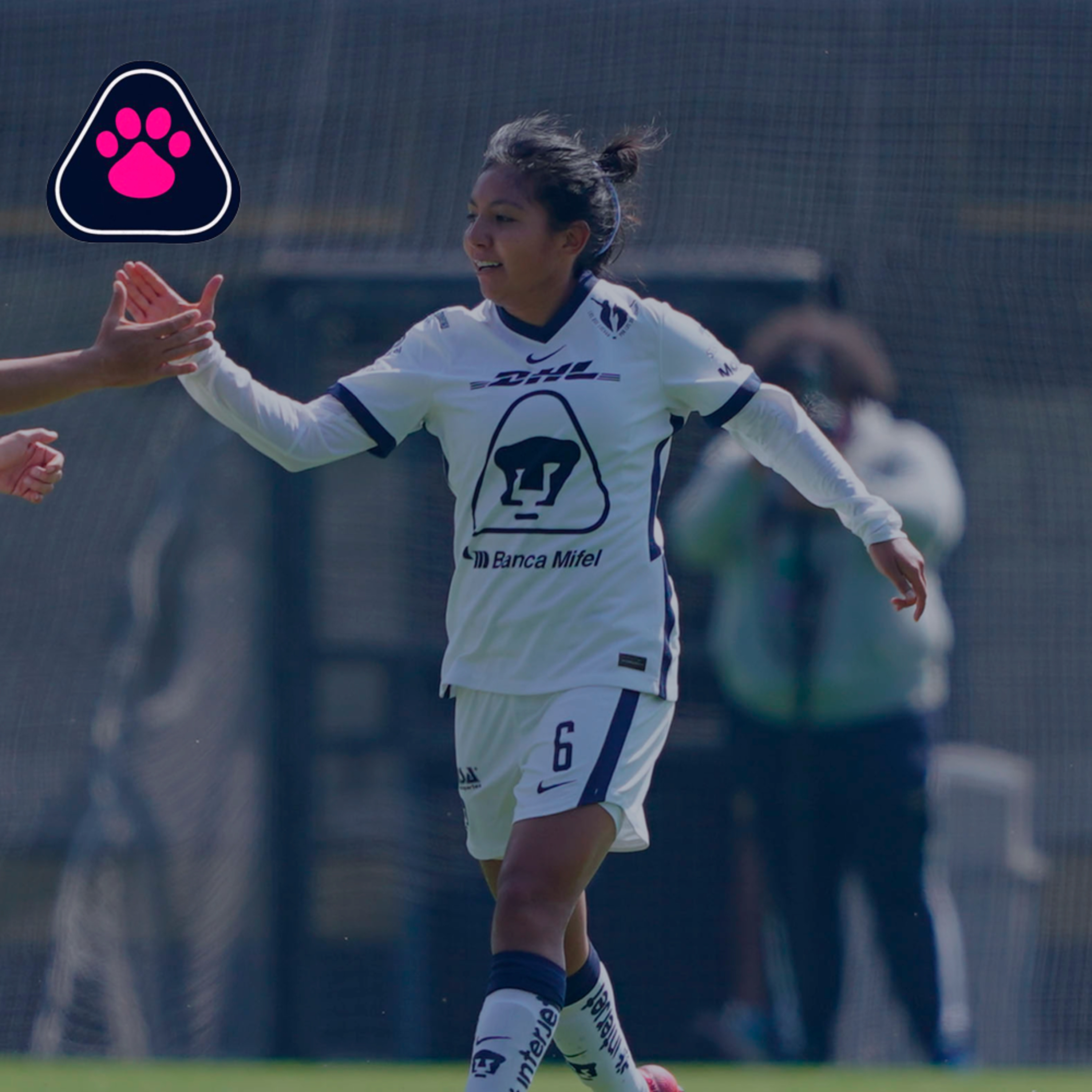 Cantera en Rosa