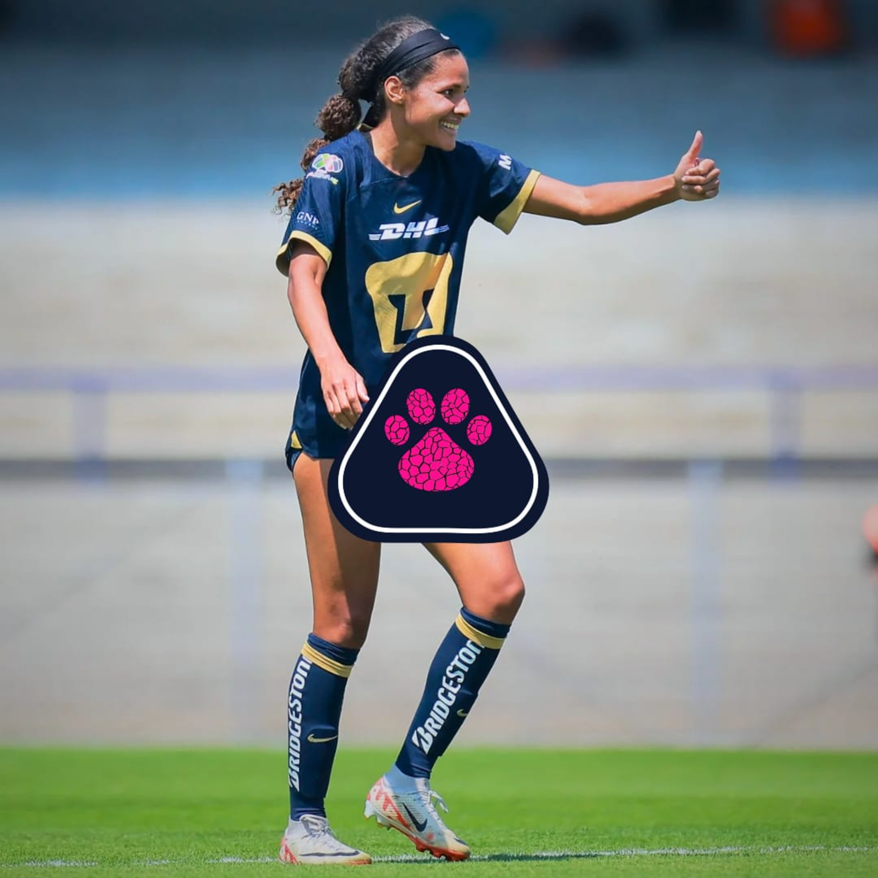 Cantera en Rosa