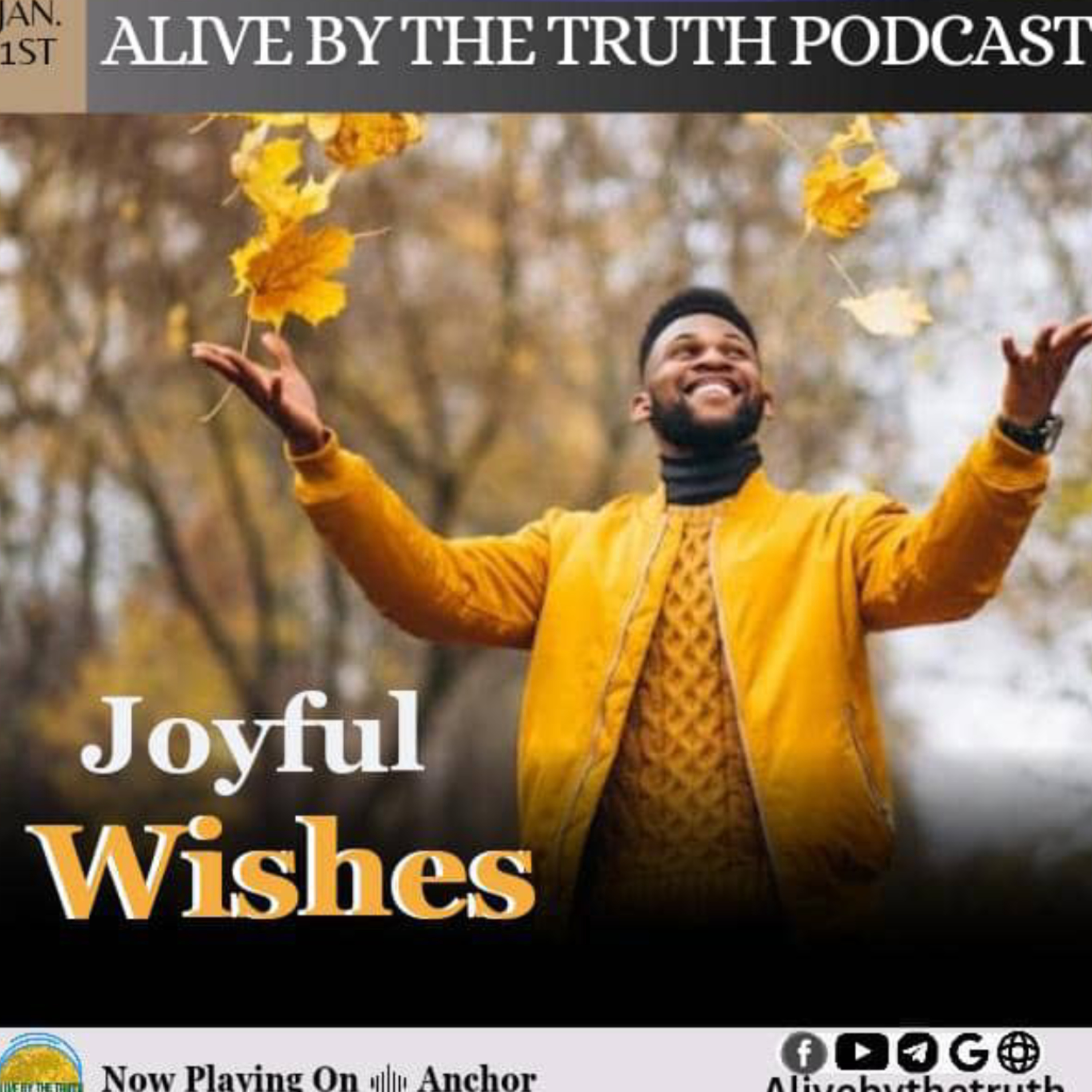 Joyful Wishes episode artwork