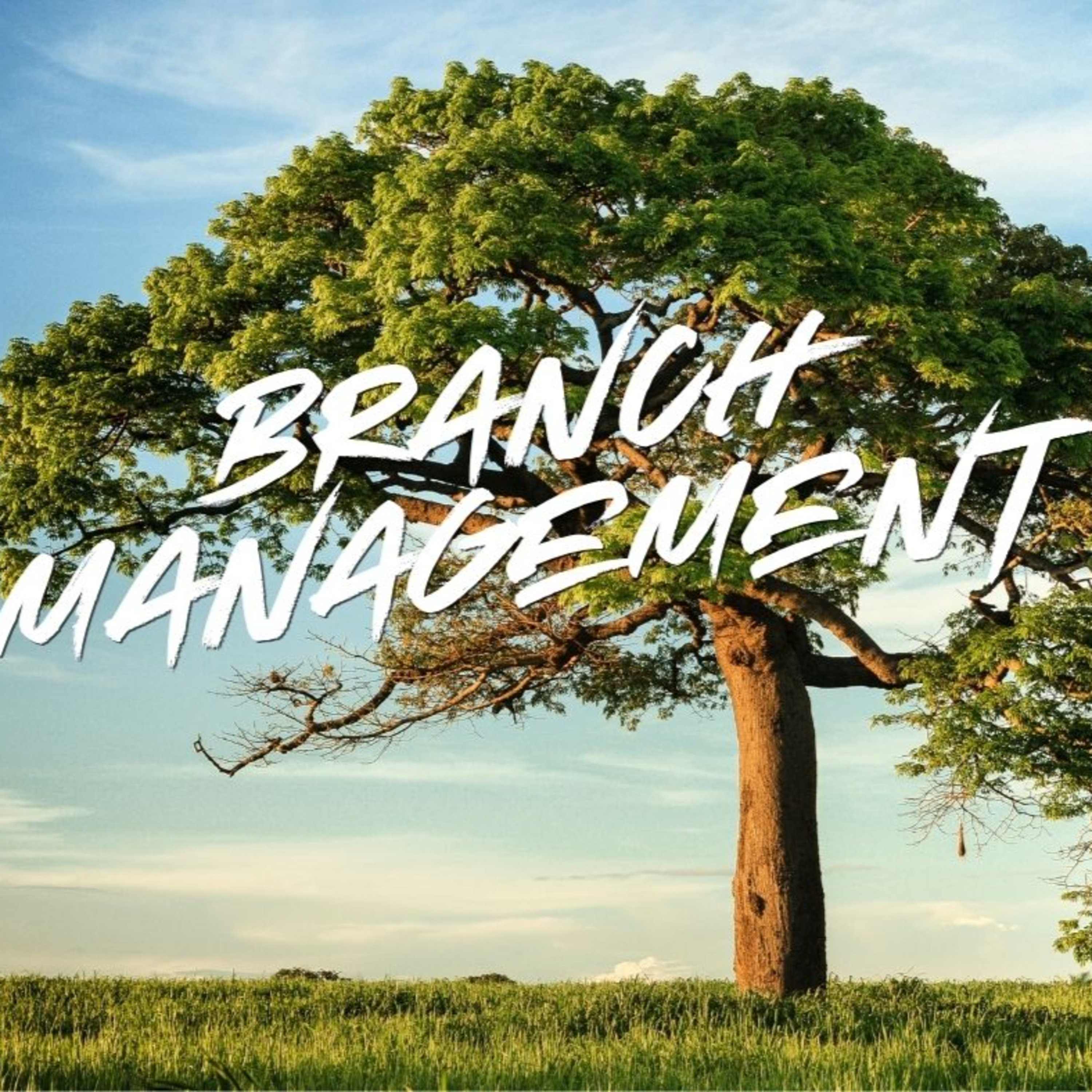 Branch Management  episode artwork
