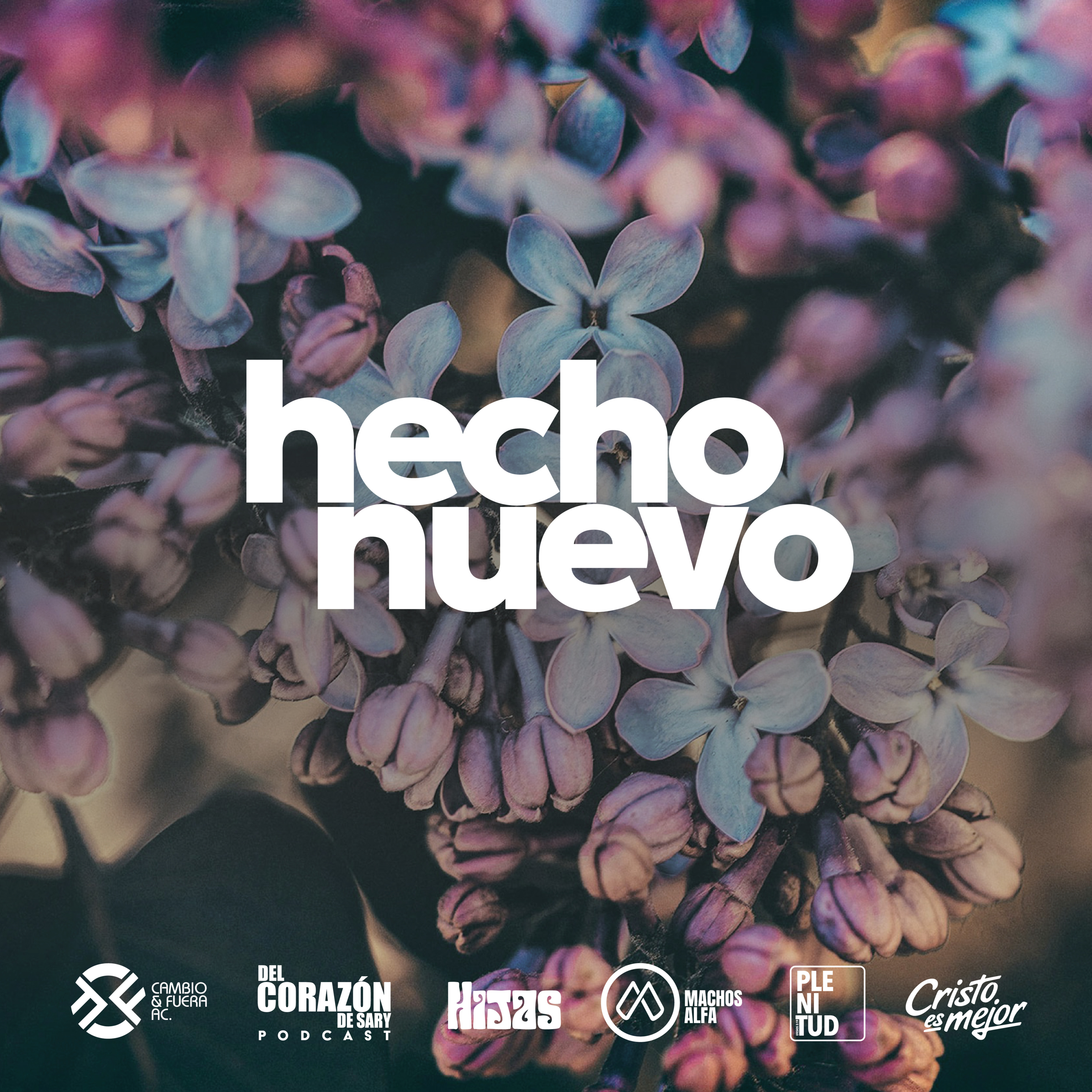 HECHO NUEVO - El Poder de Dios en lo débil del mundo - David Gonzalez episode artwork