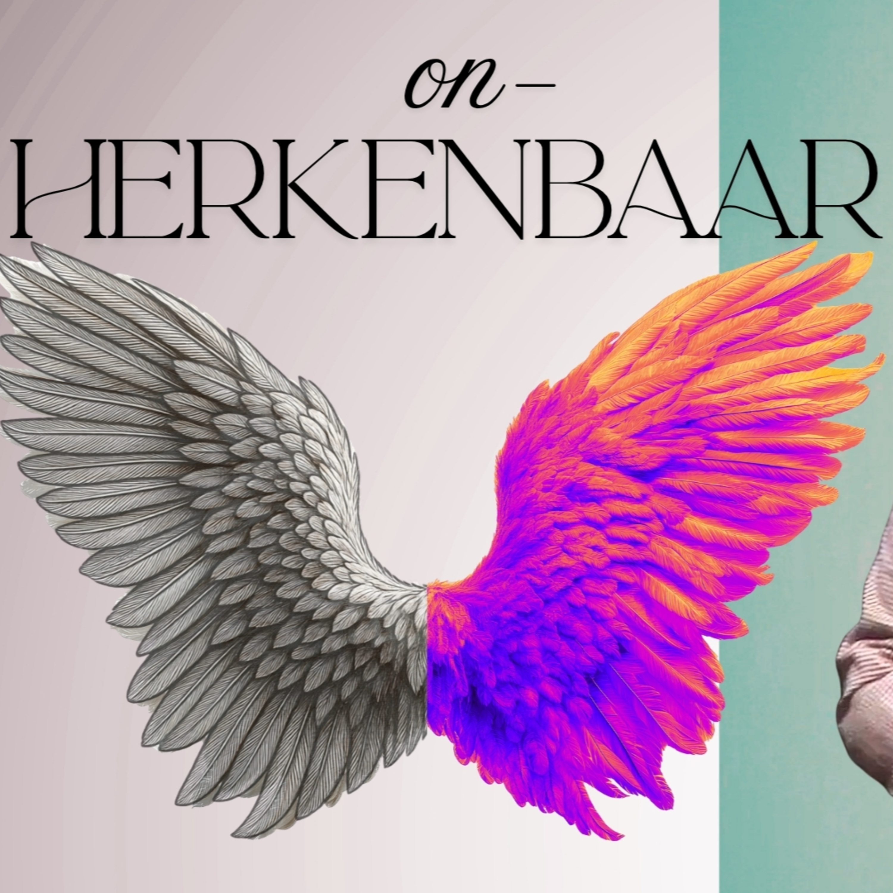 Onherkenbaar | Marius Keyter  episode artwork