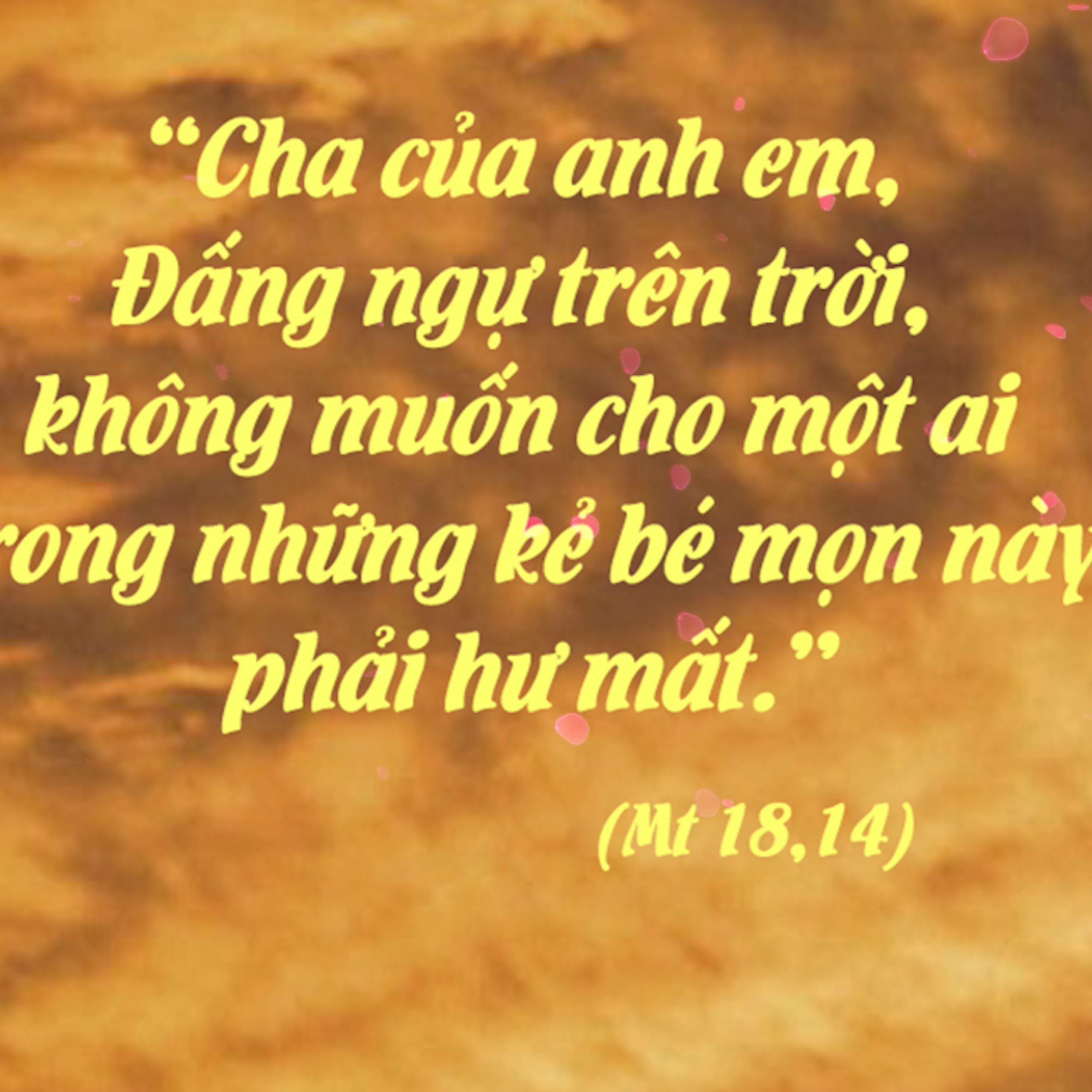 KHÔNG PHẢI HƯ MẤT | MANNA (Thứ Ba Tuần 2 Mùa Vọng - Mt 18,12-14)