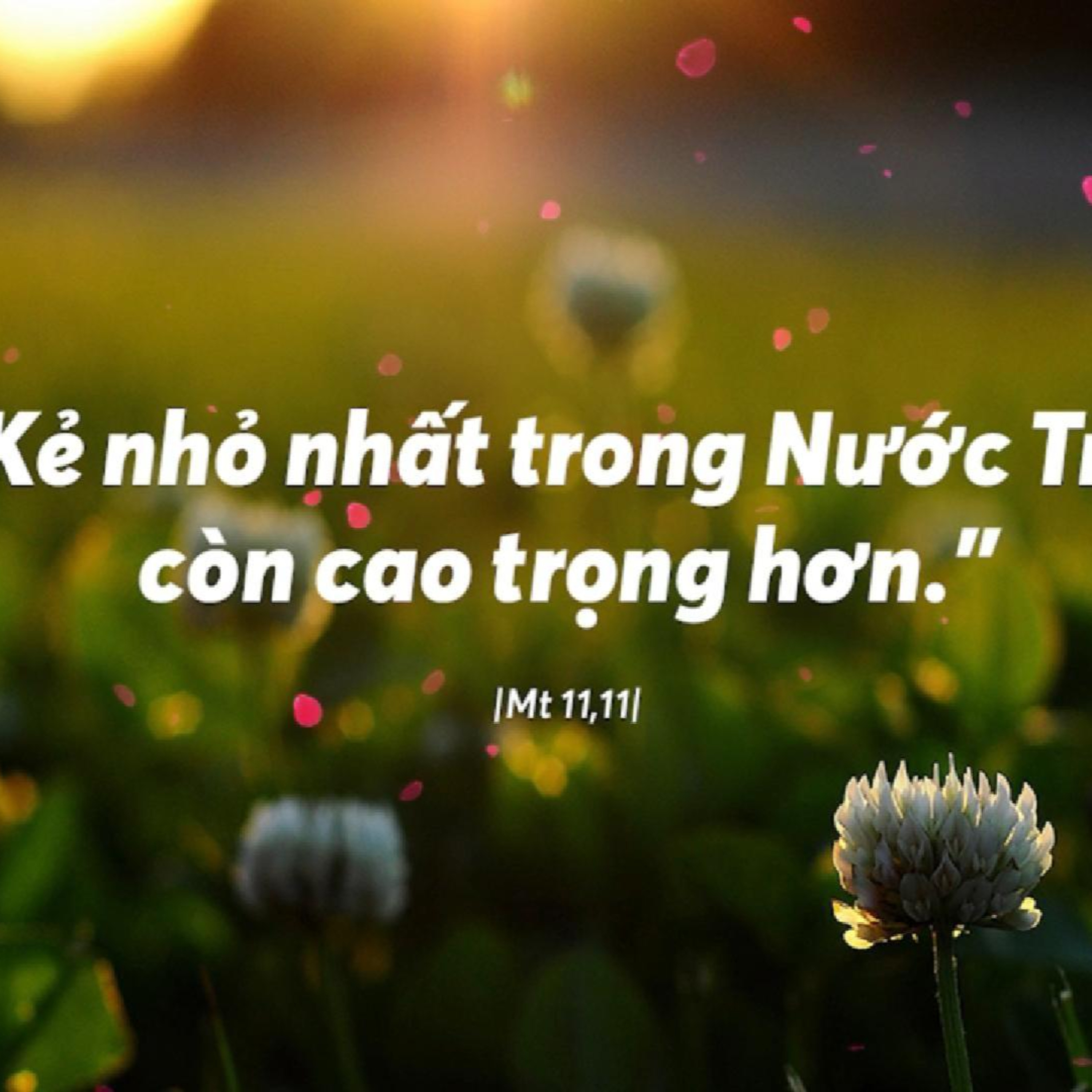 GIOAN CHÍNH LÀ ÊLIA | MANNA (Thứ Năm Tuần 2 Mùa Vọng - Mt 11,11-15)