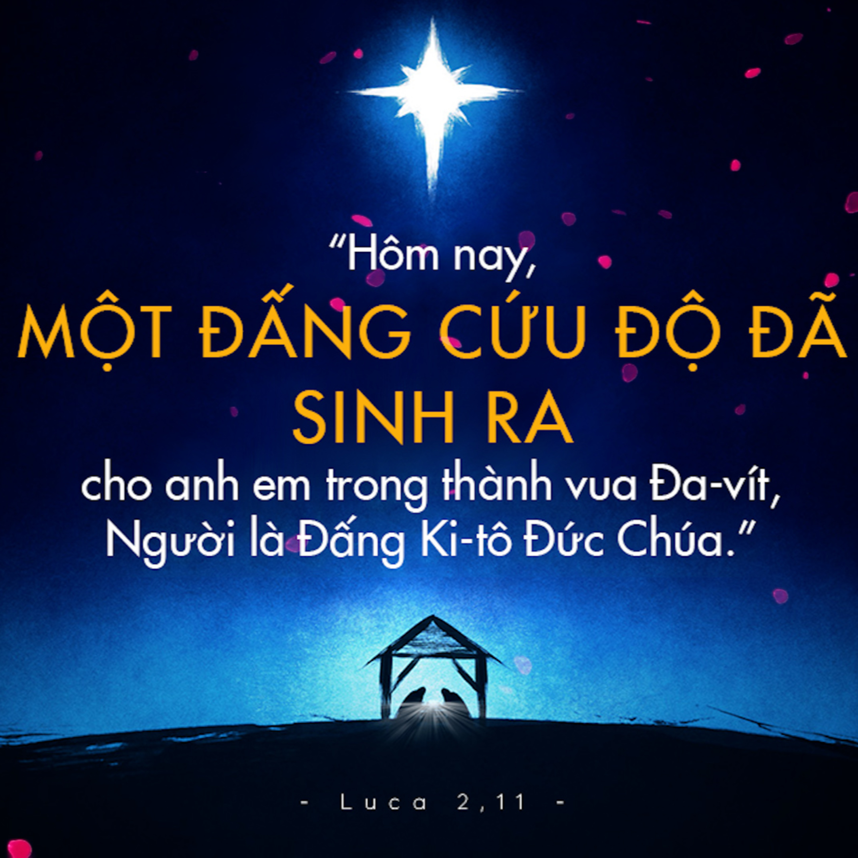 Manna: Tin Mừng trọng đại (24.12 - Lễ Chúa Giáng Sinh (Lễ đêm) - Lc 2,1-14)