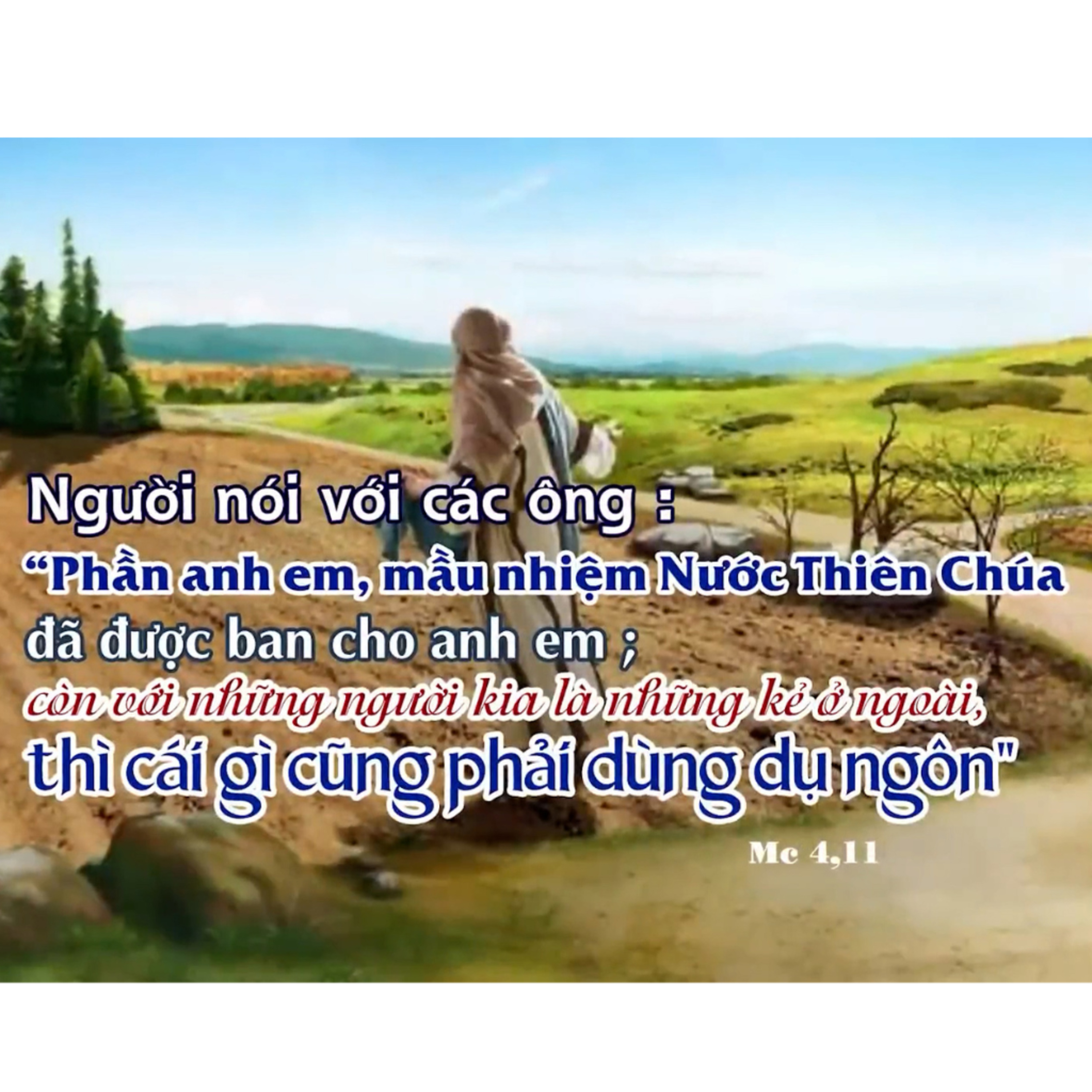 HẠT GIỐNG | MANNA (Thứ Tư Tuần 3 Thường niên - Mc 4, 1-20)