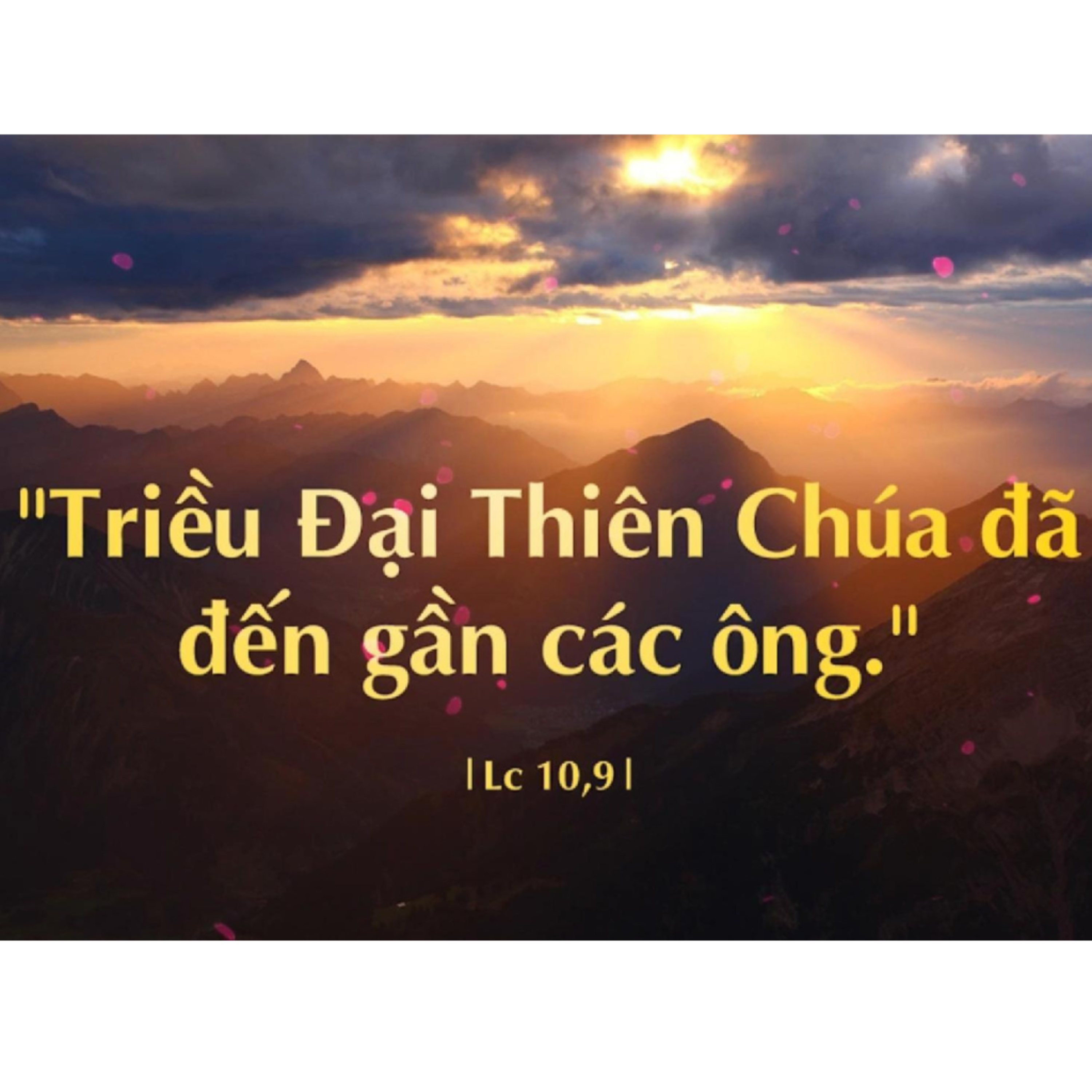 ĐẶC SỦNG CỦA THIÊN CHÚA | MANNA (Lễ Thánh Timôthê và Thánh Titô, Giám mục - 2 Tm 1, 1-8 )