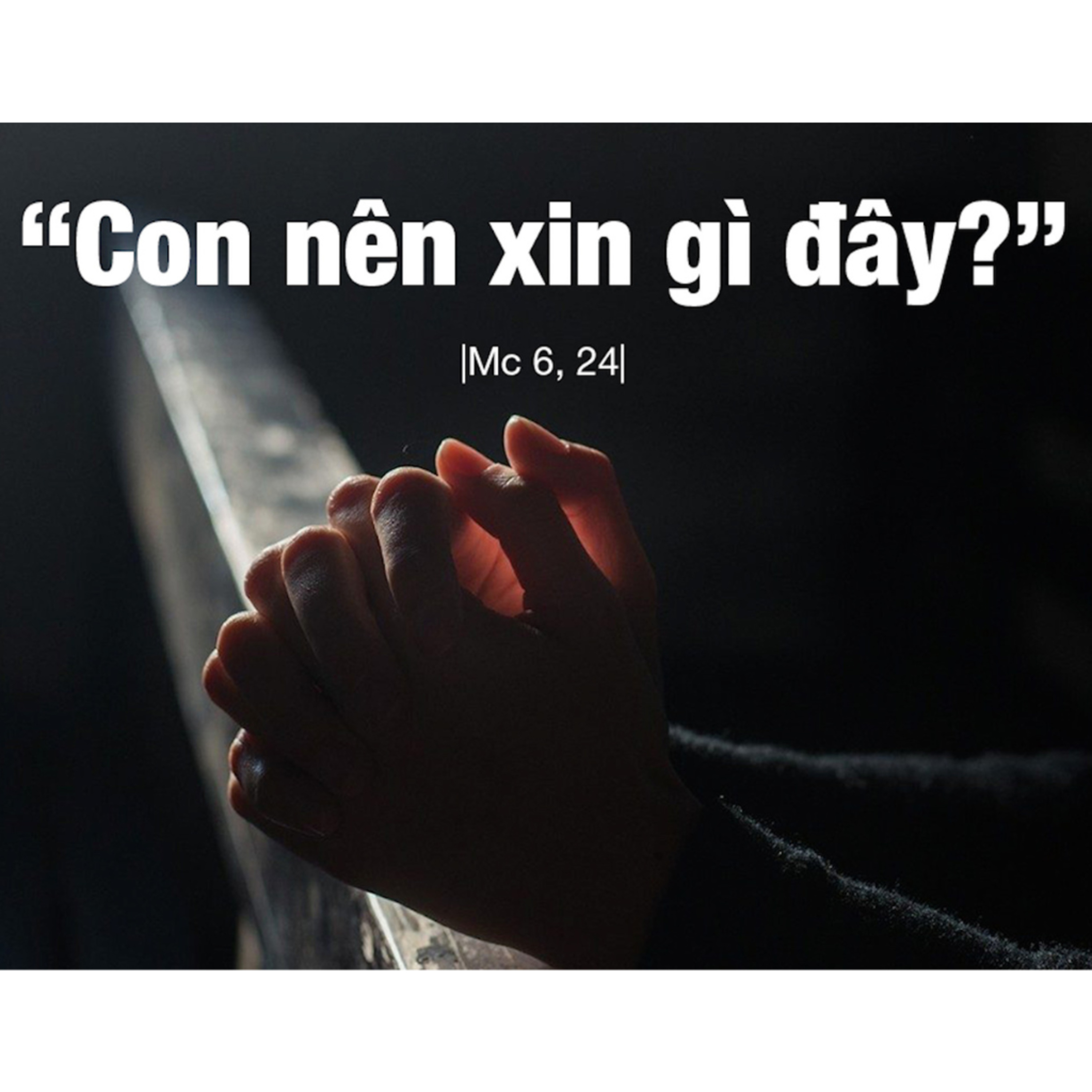 VÌ ĐÃ TRÓT THỀ | MANNA (Thứ Sáu Tuần 4 Thường niên - Mc 6,14-29)
