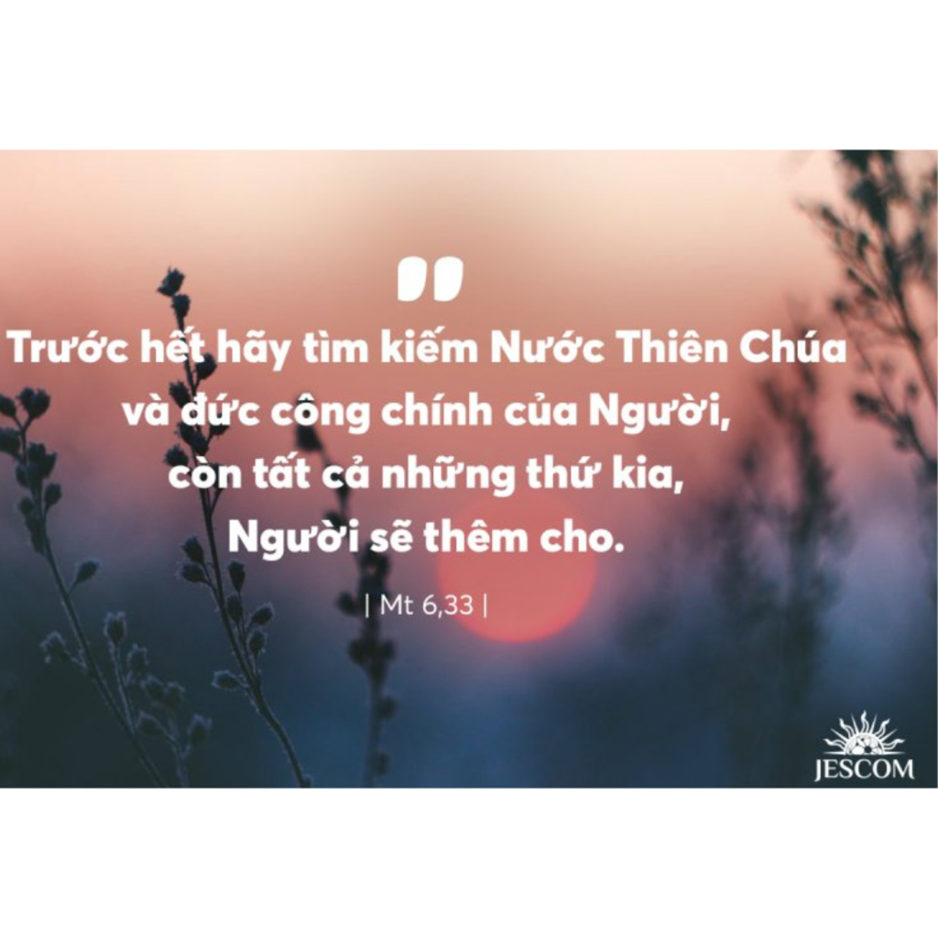 XEM CHIM TRỜI , NGẮM HOA HUỆ | MANNA (Mồng Một Tết Nguyên Đán - Mt 6, 25-34)