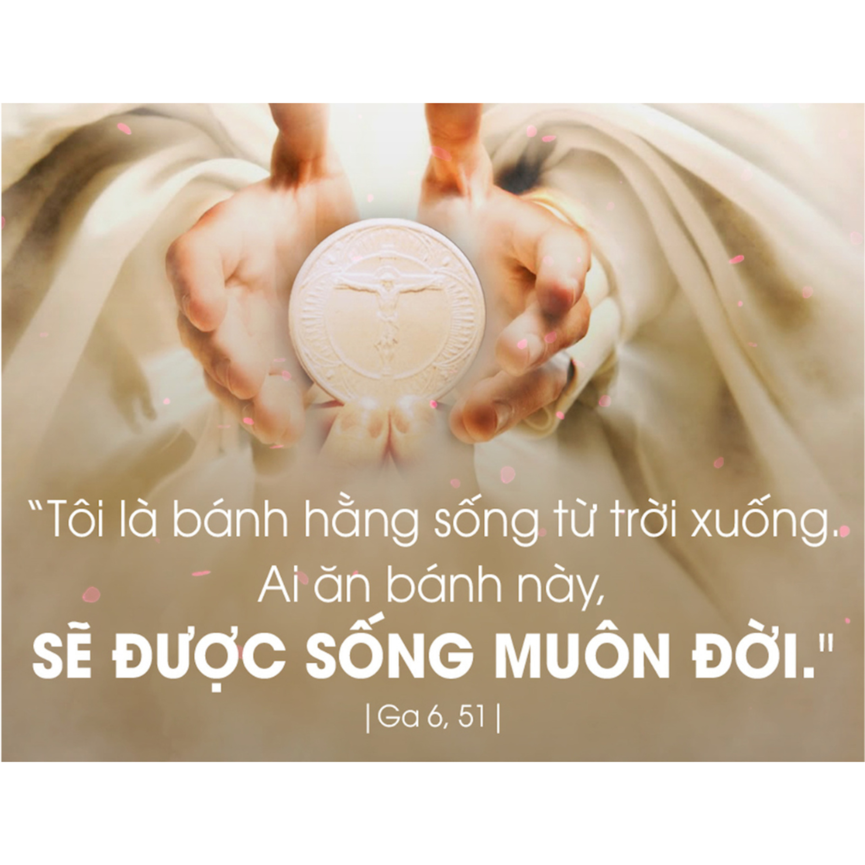 CHÚA CHA LÔI KÉO | MANNA (Thứ Năm Tuần 3 Phục Sinh - Ga 6, 44-51)