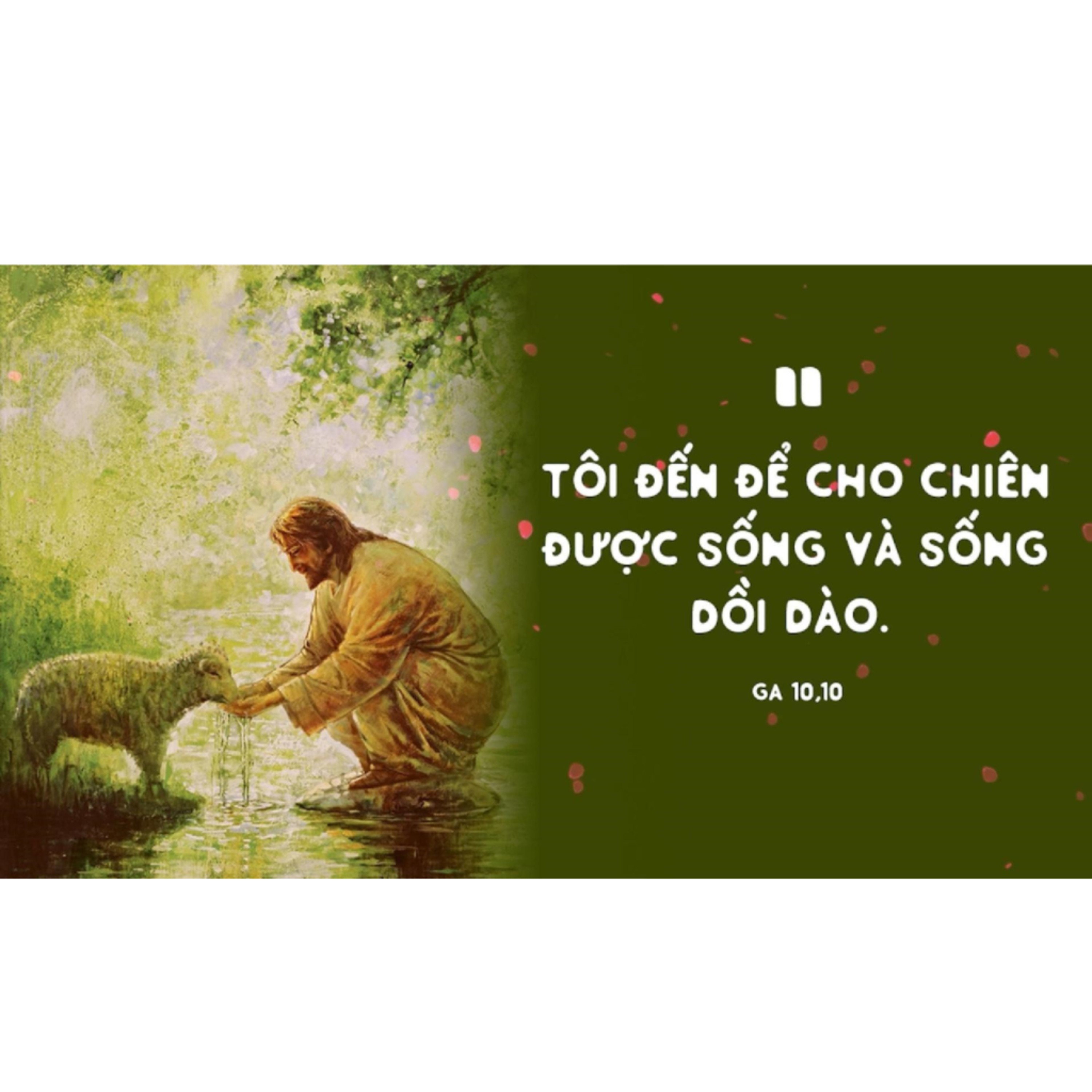 TÔI LÀ CỬA CHO CHIÊN RA VÀO | MANNA (Chúa Nhật 4 Phục Sinh Năm A - Ga 10,1-10)