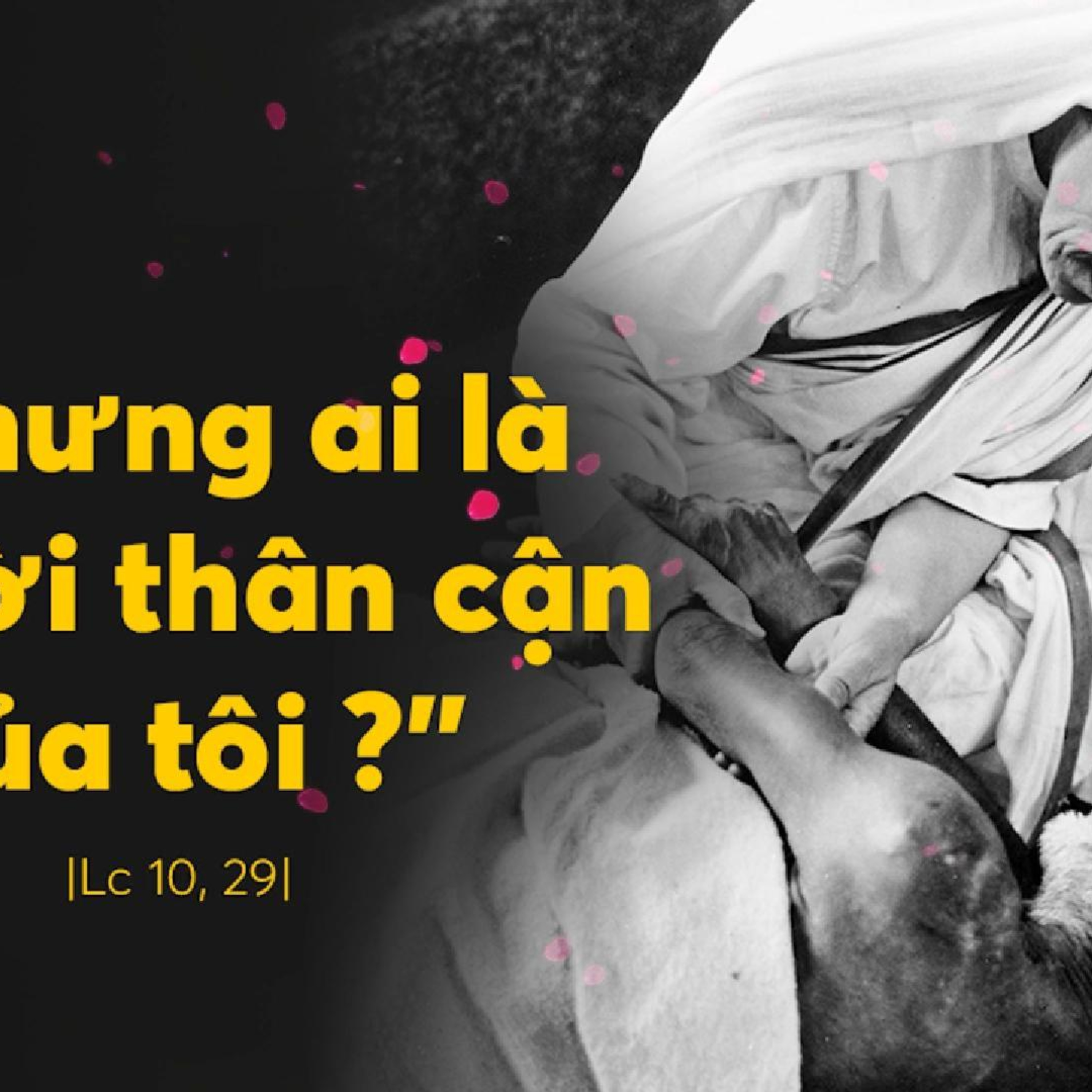 Manna: Bỏ mọi sự vì Thầy (Thứ Ba Tuần 8 Thường niên - Mc 10,28-31)