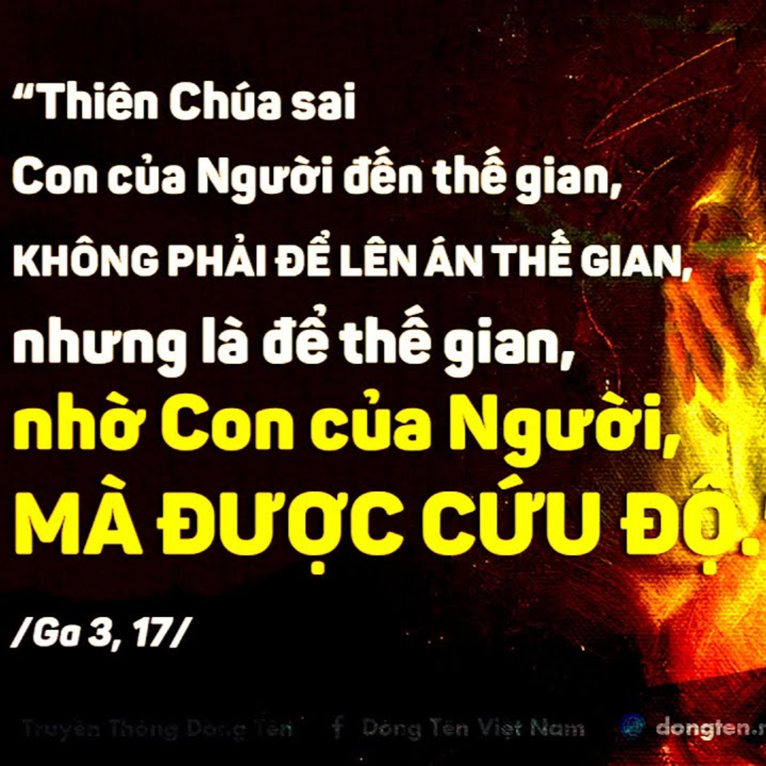 Manna: Thiên Chúa đã yêu thế gian (Chúa nhật Chúa Ba Ngôi năm A mùa Thường niên, Ga 3,16-18)