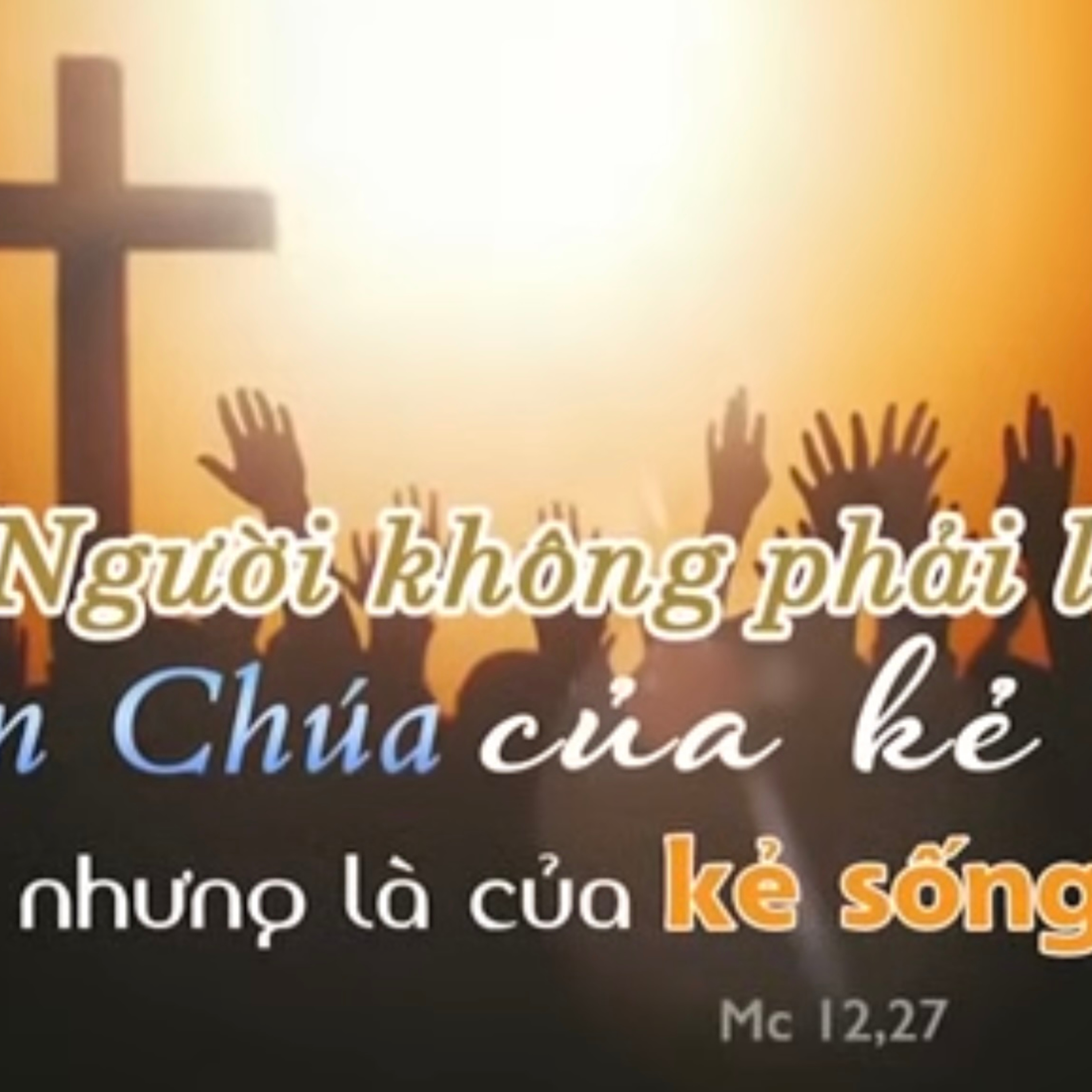 Manna: Thiên Chúa của kẻ sống (Thứ Tư Tuần 9 Thường niên, Mc 12, 18-27 ) episode artwork