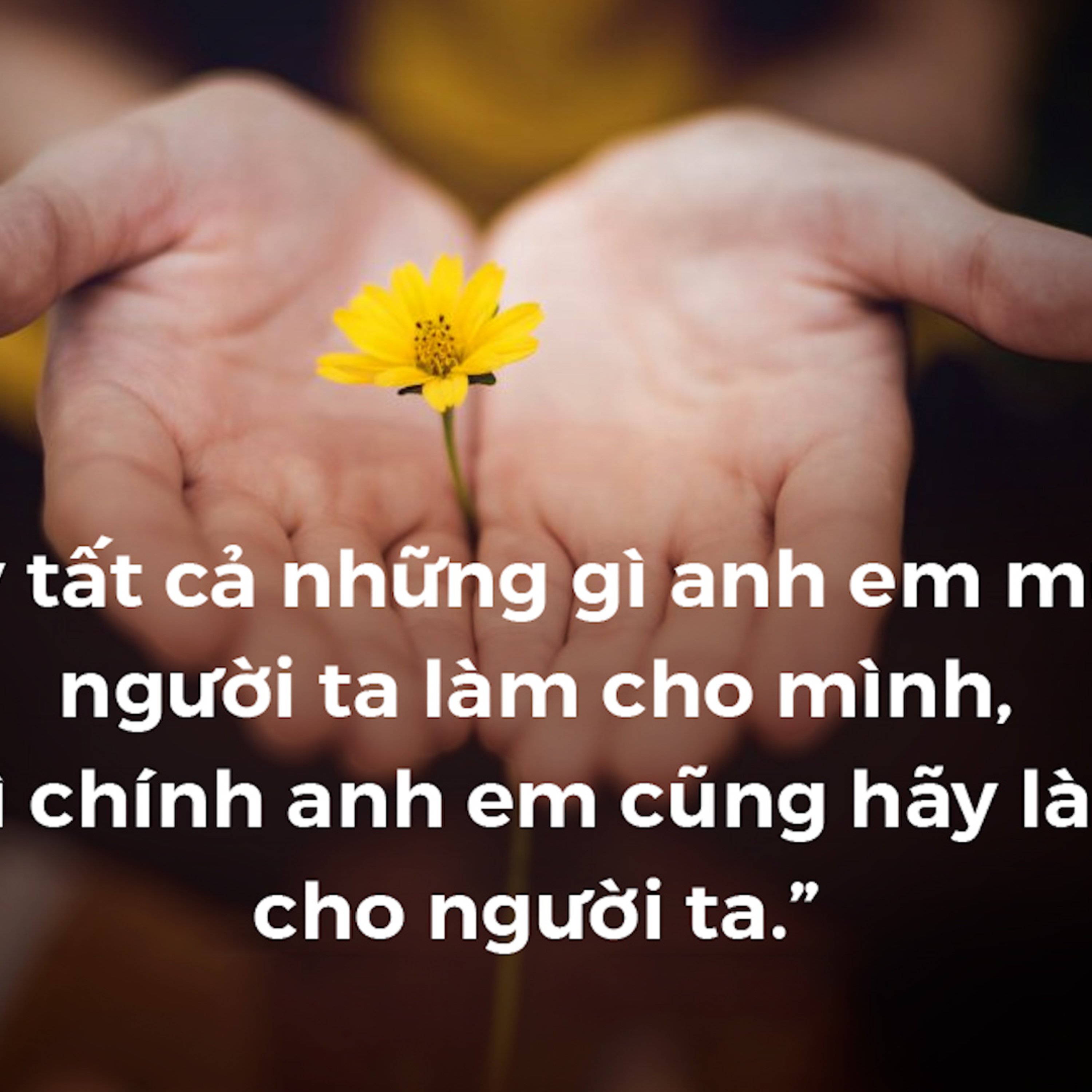 Manna: Cửa hẹp và đường chật (Thứ Ba Tuần 12 Thường niên, Mt 7, 6. 12-14 ) episode artwork