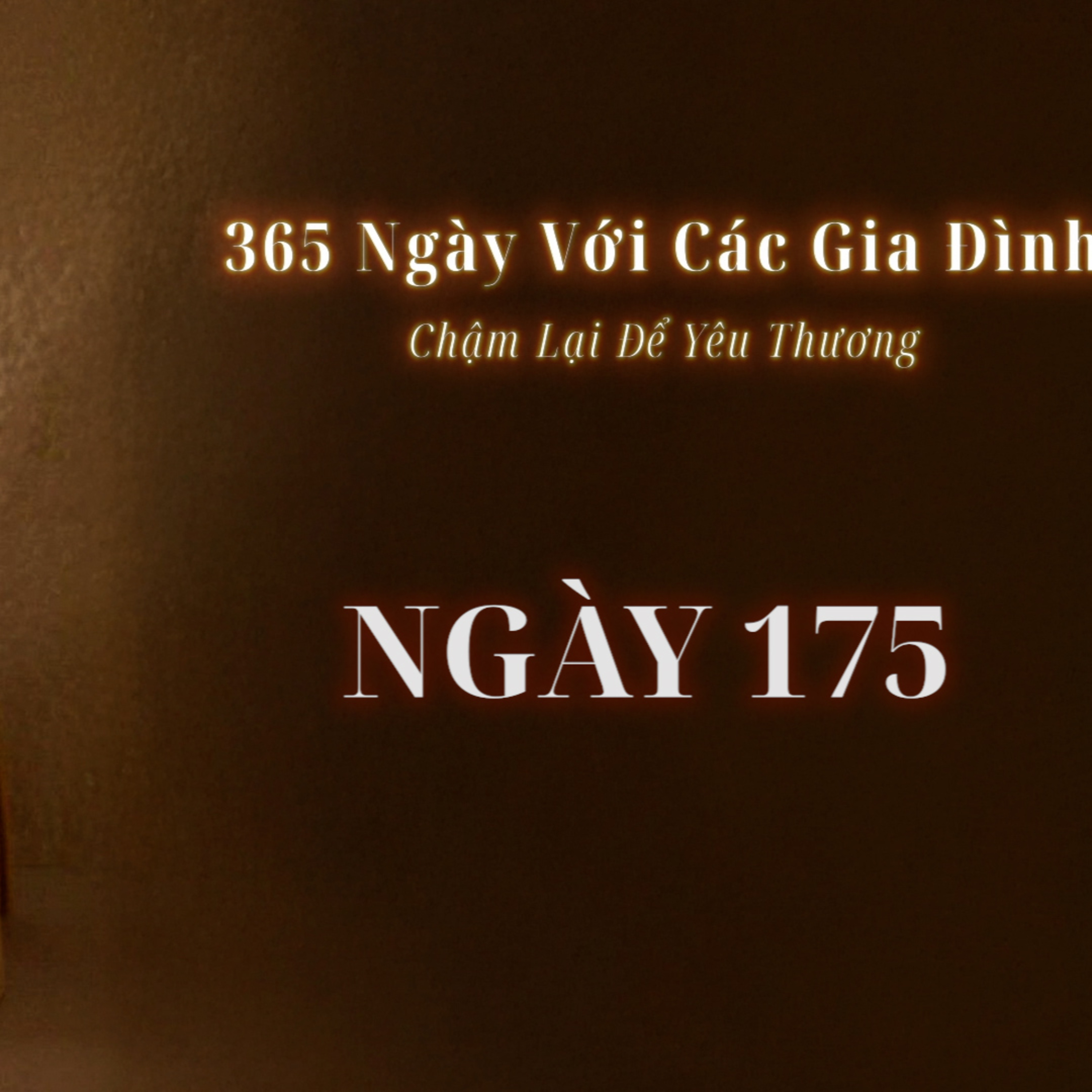 Ngày 175 | 365 NGÀY VỚI CÁC GIA ĐÌNH episode artwork