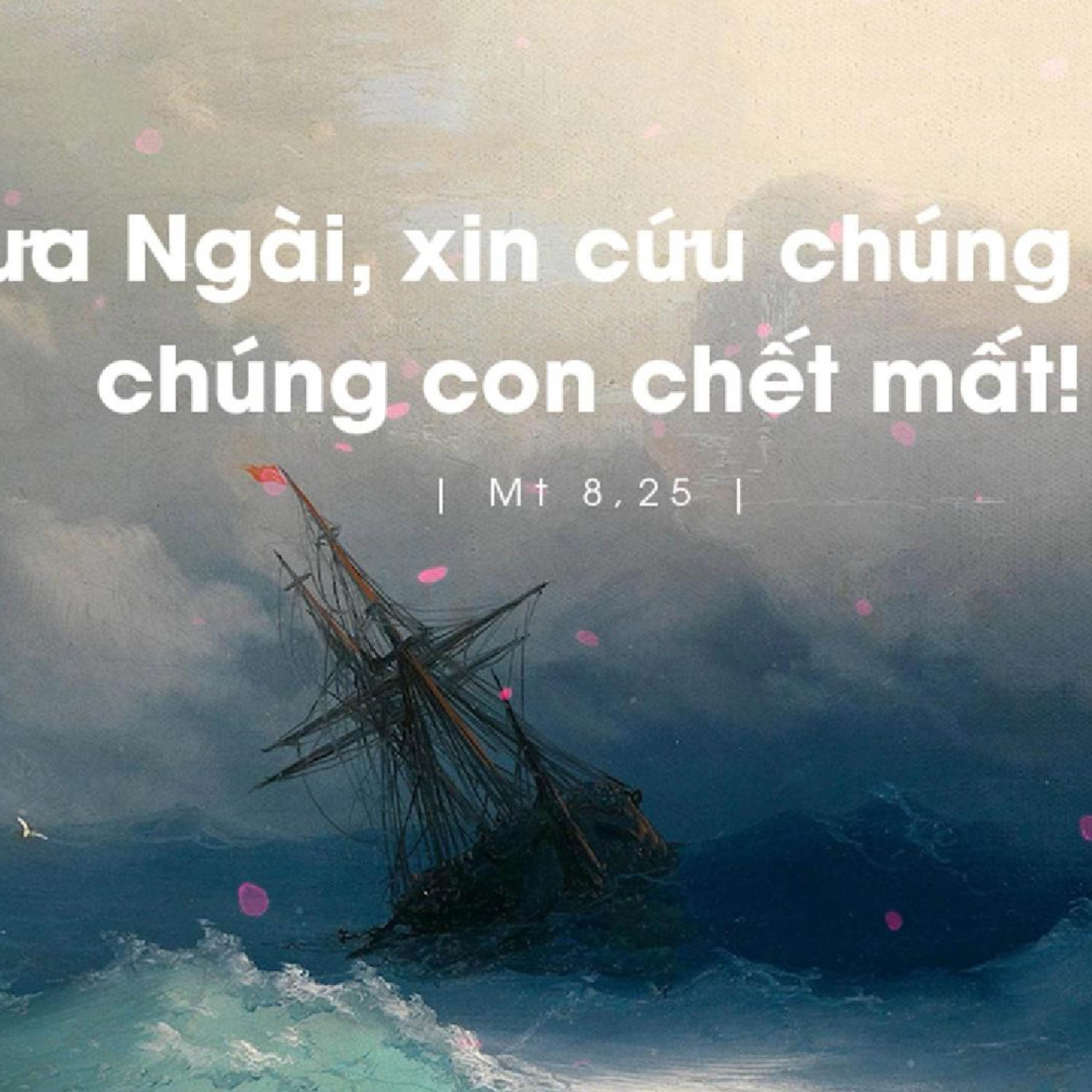 Manna: Người vẫn ngủ (Thứ Ba Tuần 13 Thường niên - Mt 8,23-27) episode artwork