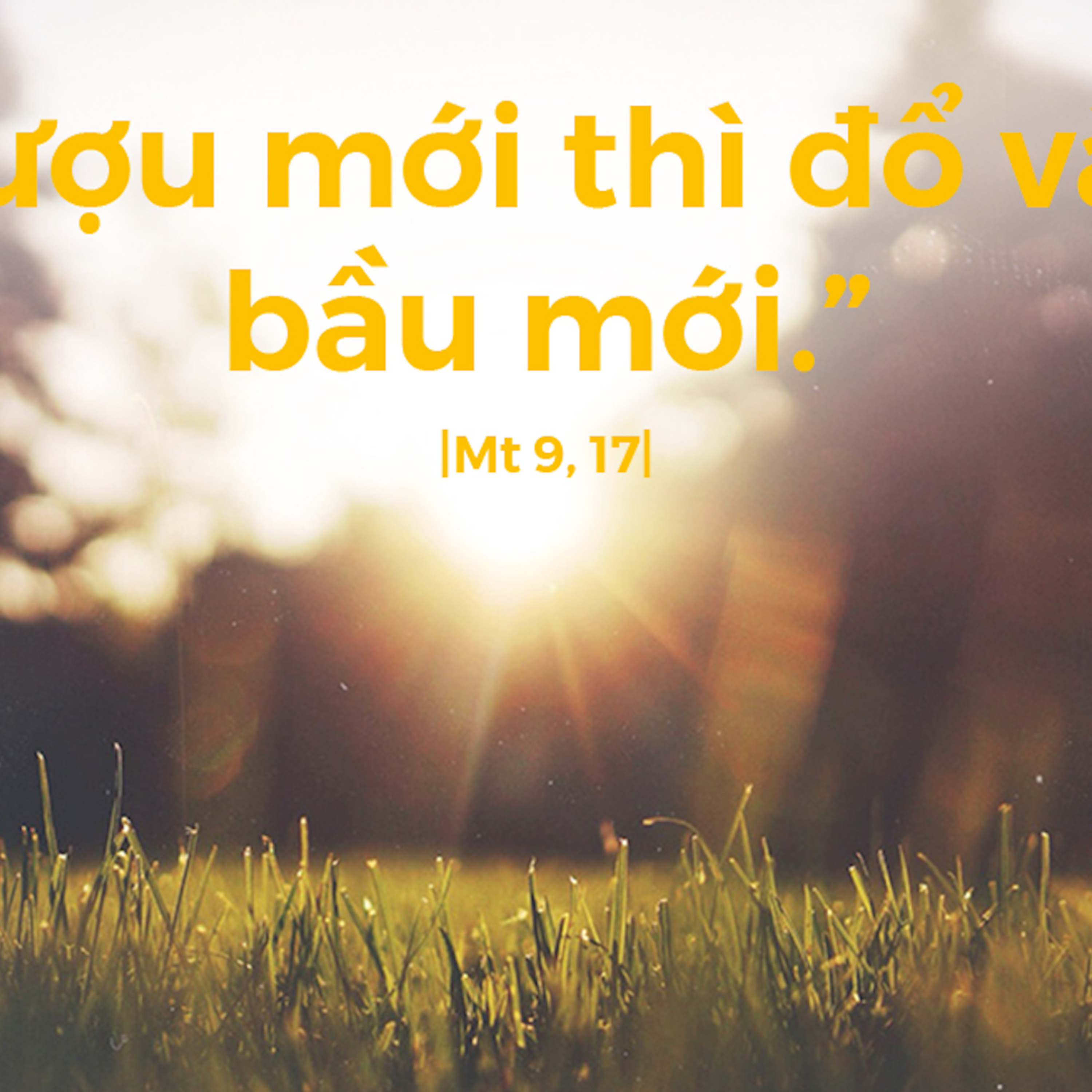 Manna: Giữ được cả hai (Thứ Bảy Tuần 13 Thường niên - Mt 9,14-17) episode artwork