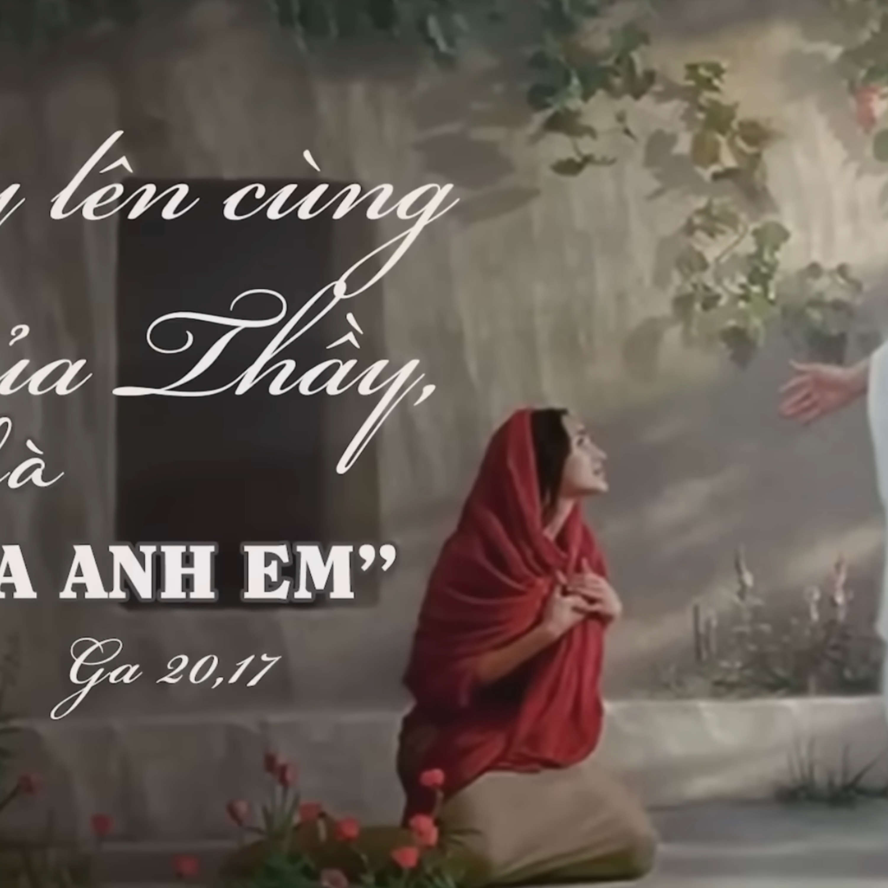 Manna: Họ để Người ở đâu? (Lễ kính thánh Maria Mađalêna - Ga 20,1-2.11-18) episode artwork