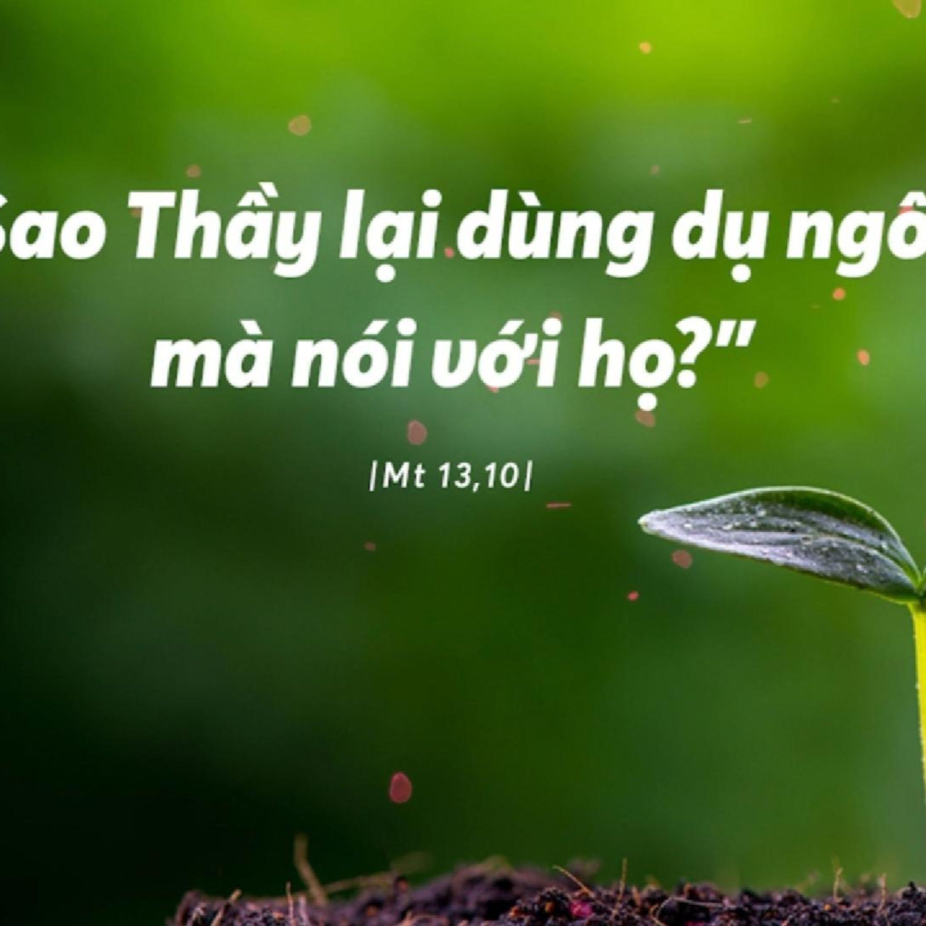 Manna: Anh em thật có phúc (Thứ Năm Tuần 16 Thường niên - Mt 13,10-17) episode artwork