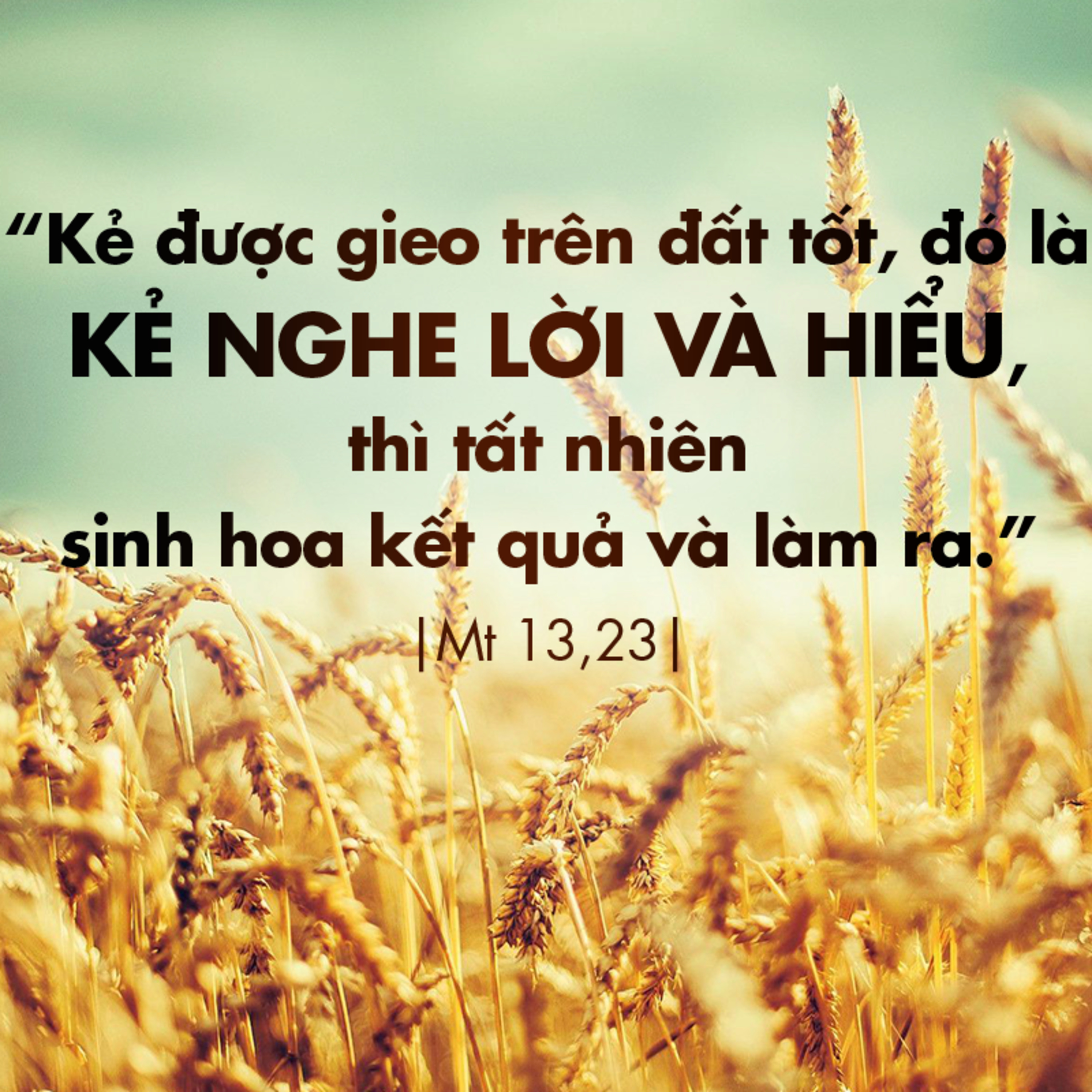 Manna: Cải tạo thửa đất ( Thứ Sáu Tuần 16 Thường niên, Mt 13, 18-23) episode artwork